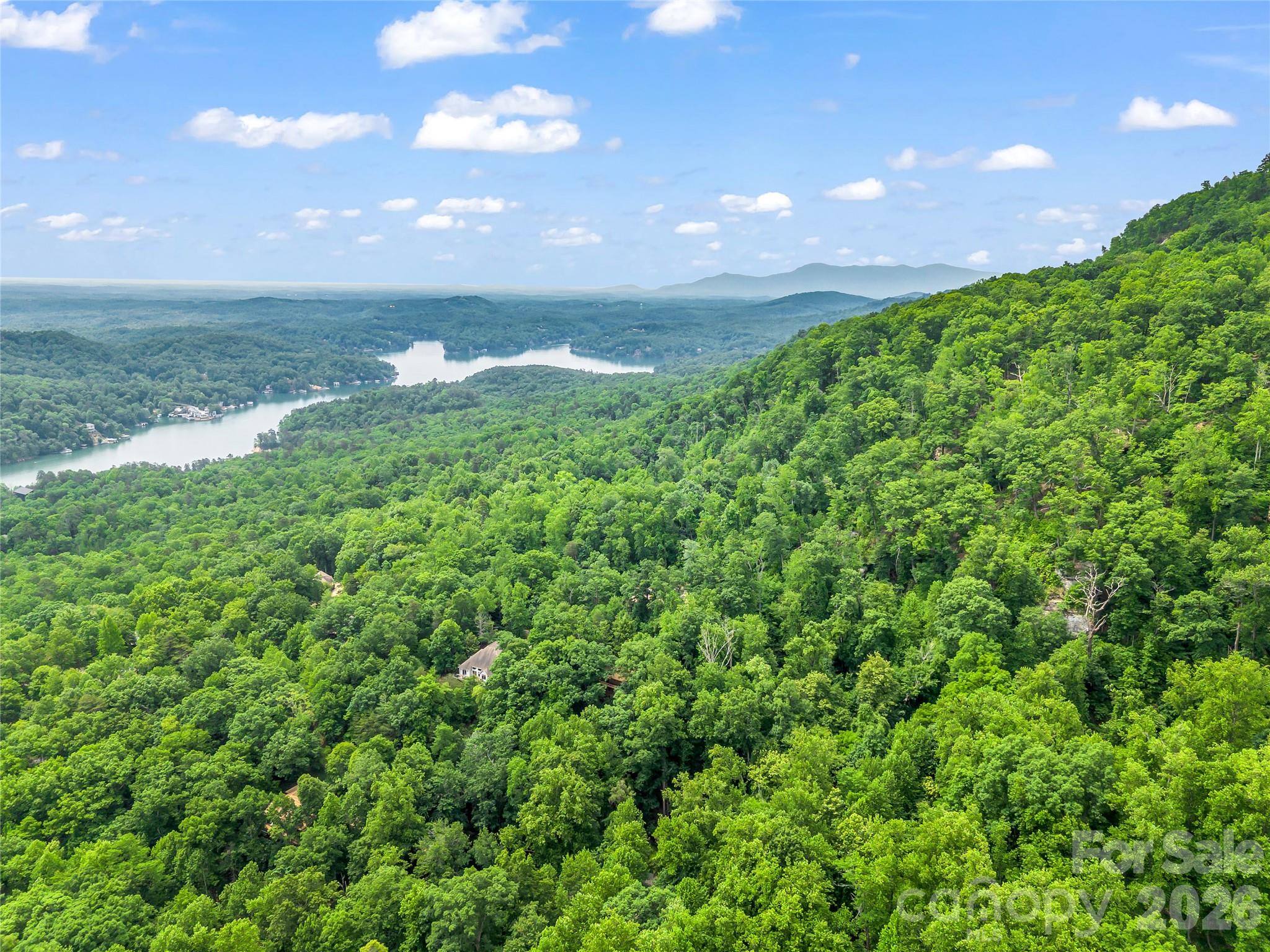 122 Raptor Court — Lake Lure
