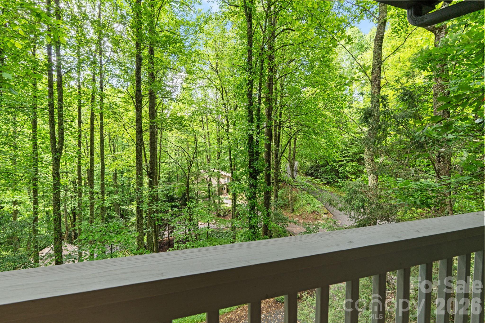 373 The Settlement Road — Boone