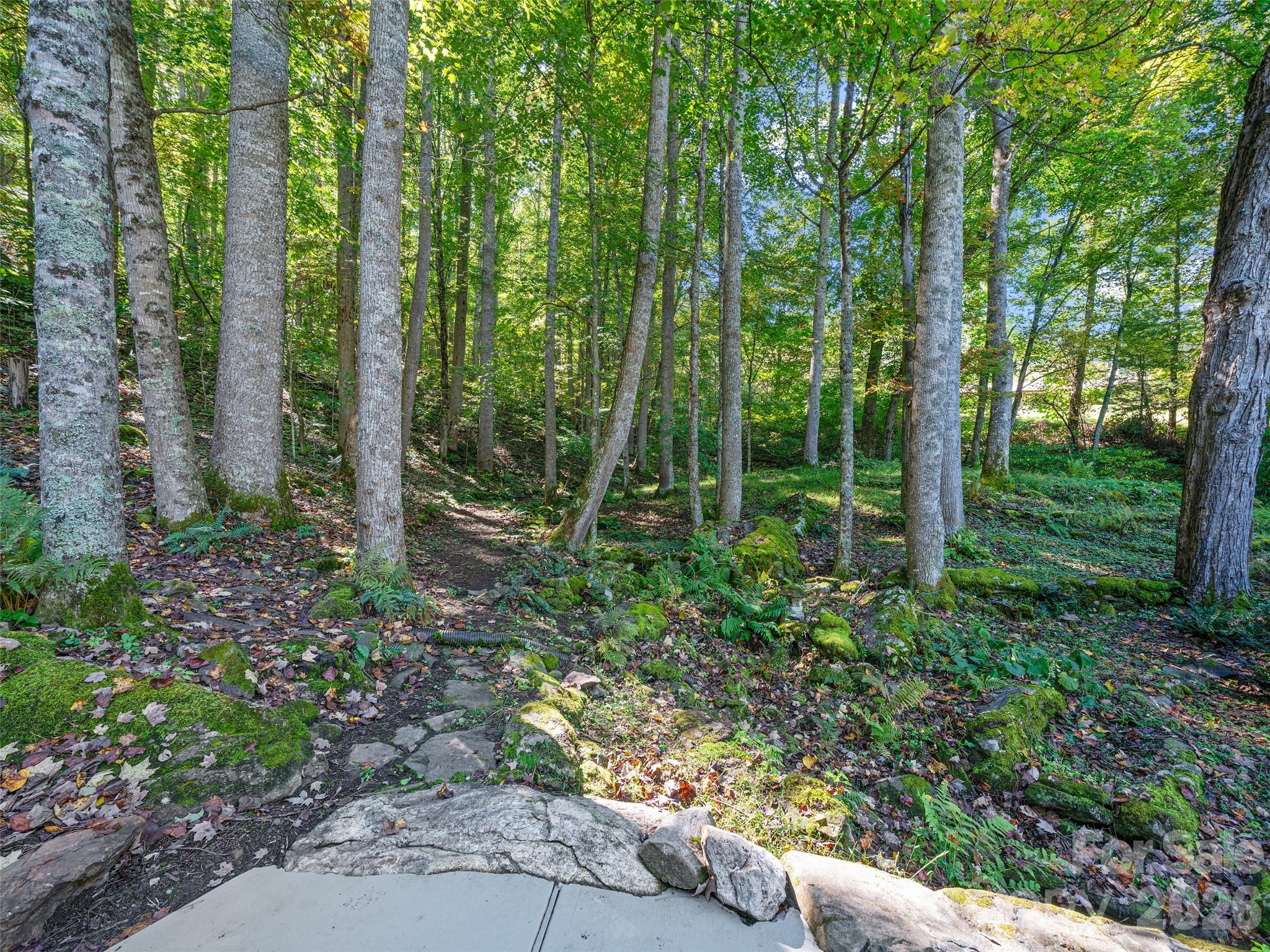 81 Summer Trees Lane — Burnsville