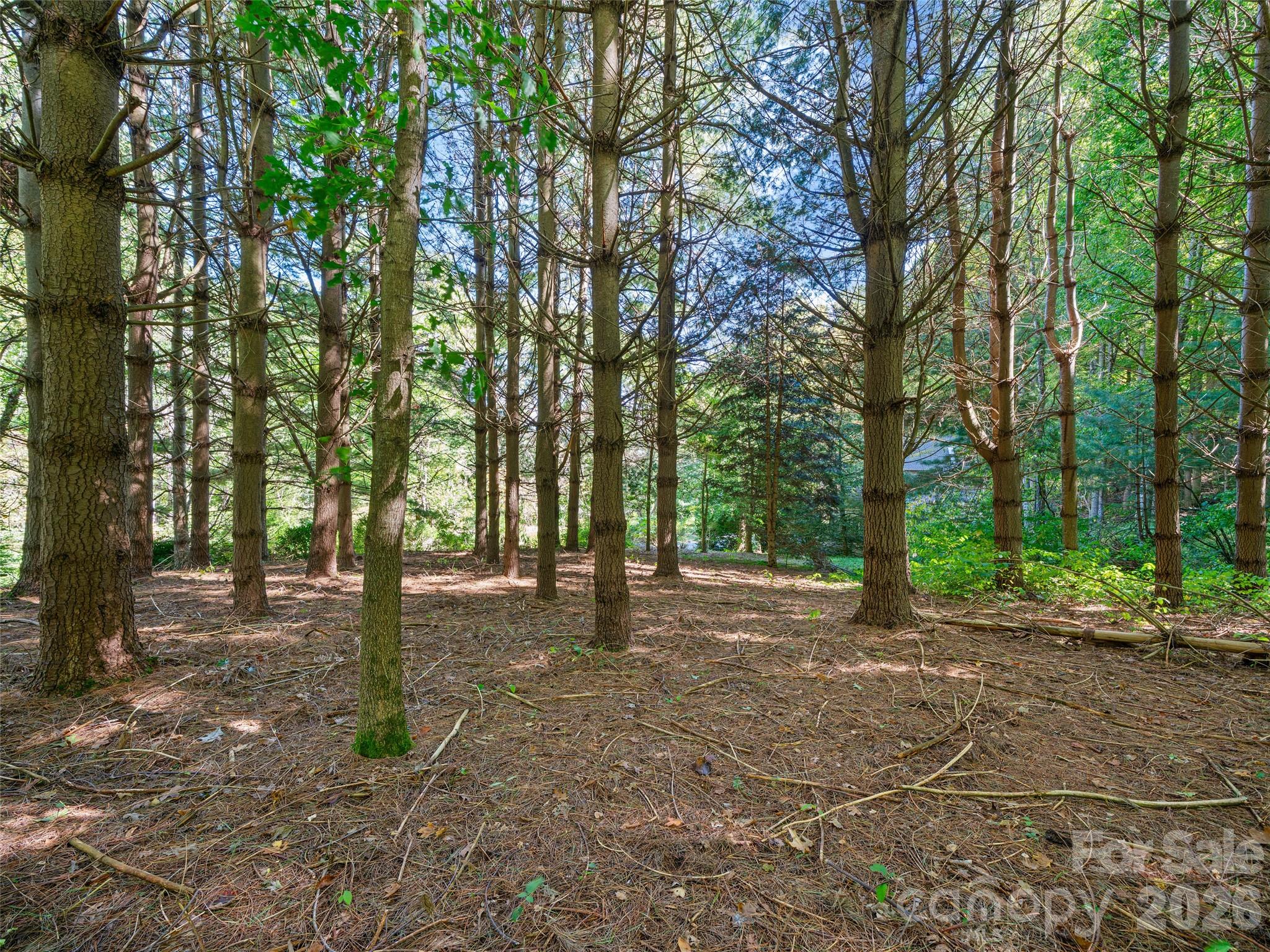 81 Summer Trees Lane — Burnsville