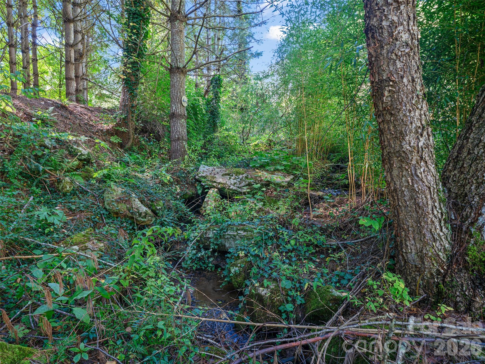 81 Summer Trees Lane — Burnsville