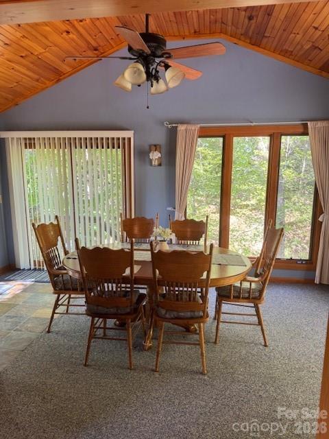 918 Plott Balsam Road — Maggie Valley