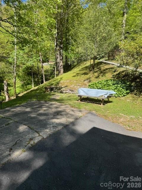 918 Plott Balsam Road — Maggie Valley