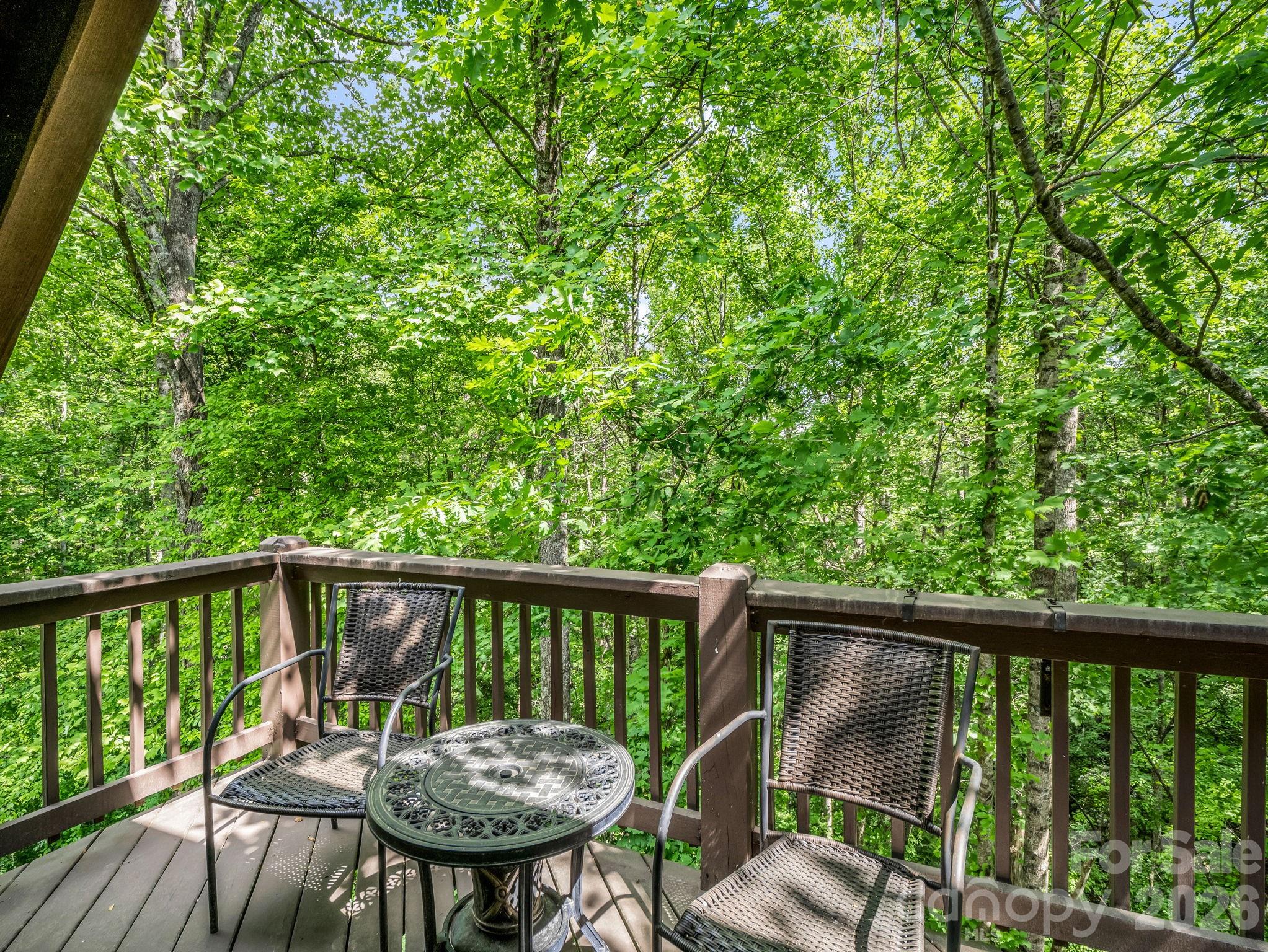 165 Dream Road — Hendersonville