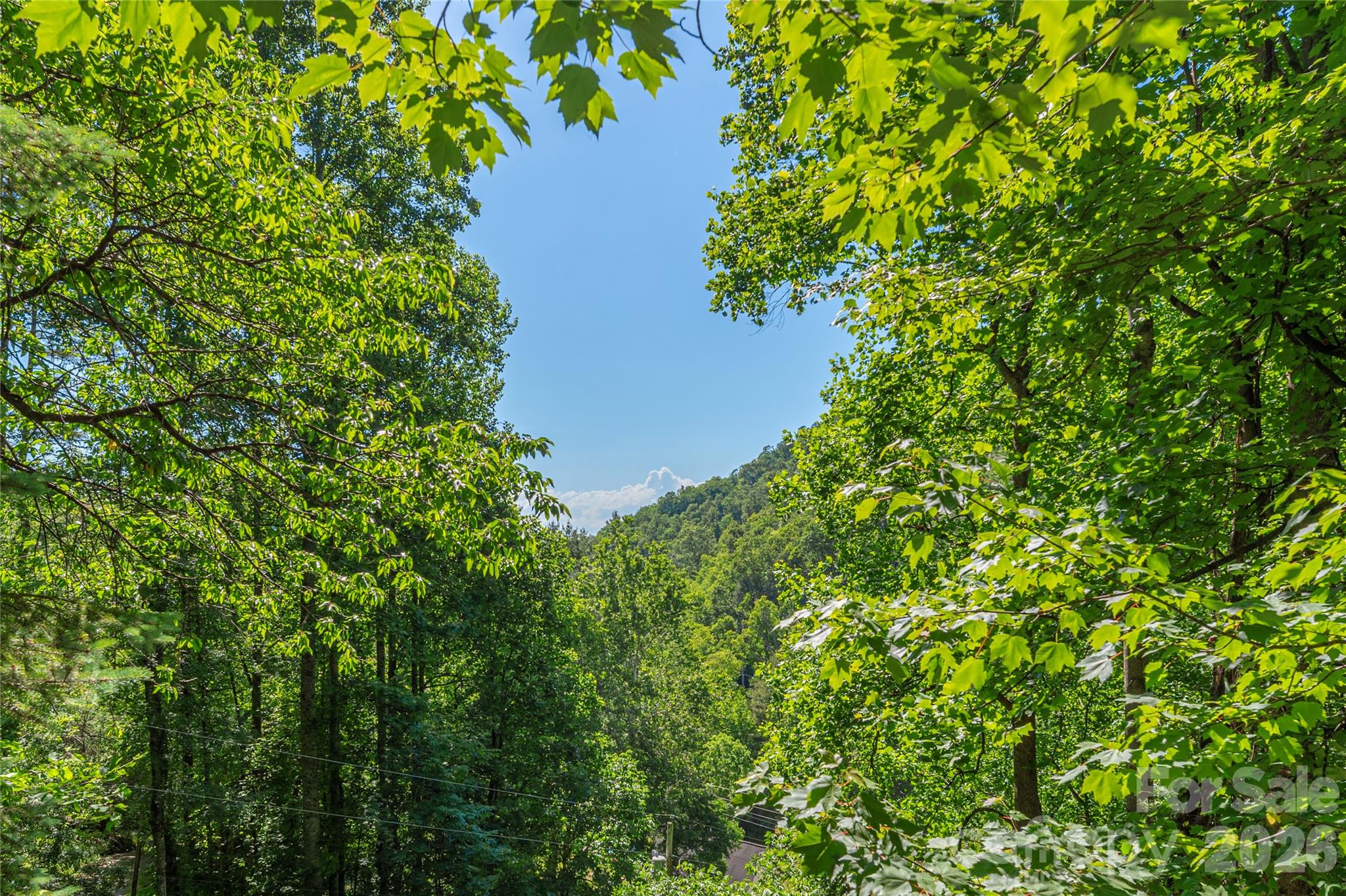 154 Timberside Drive — Mars Hill