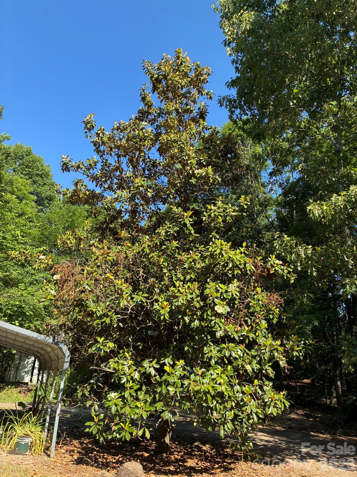 2051 Sutton Spring Road — York