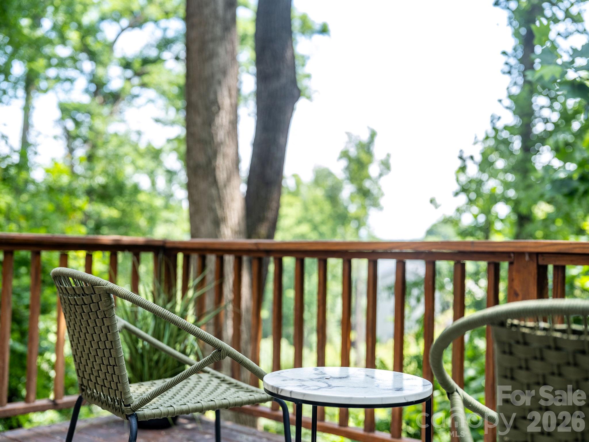 1 Pickwick Road — Asheville