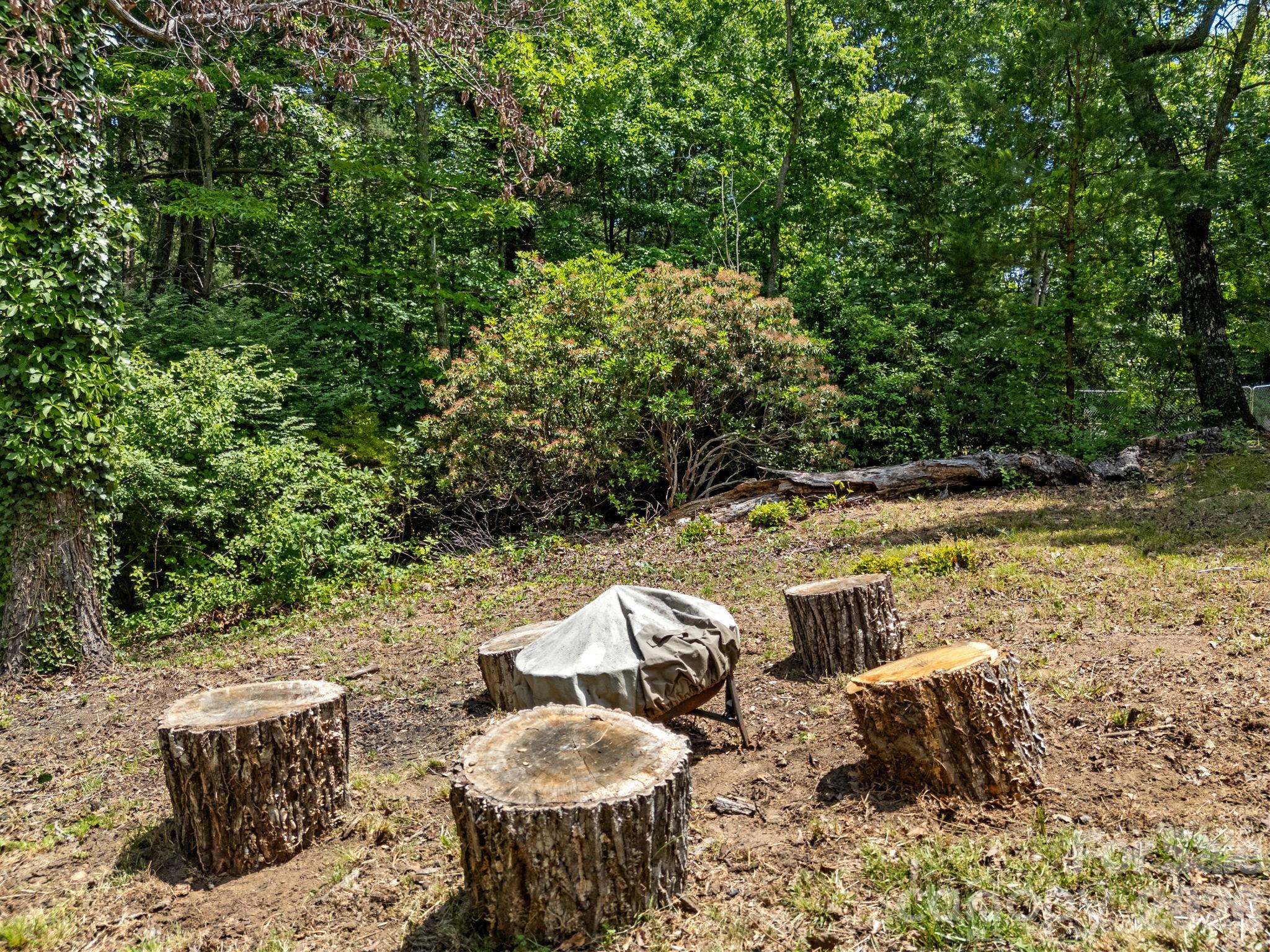 707 Dogwood Trail — Tryon