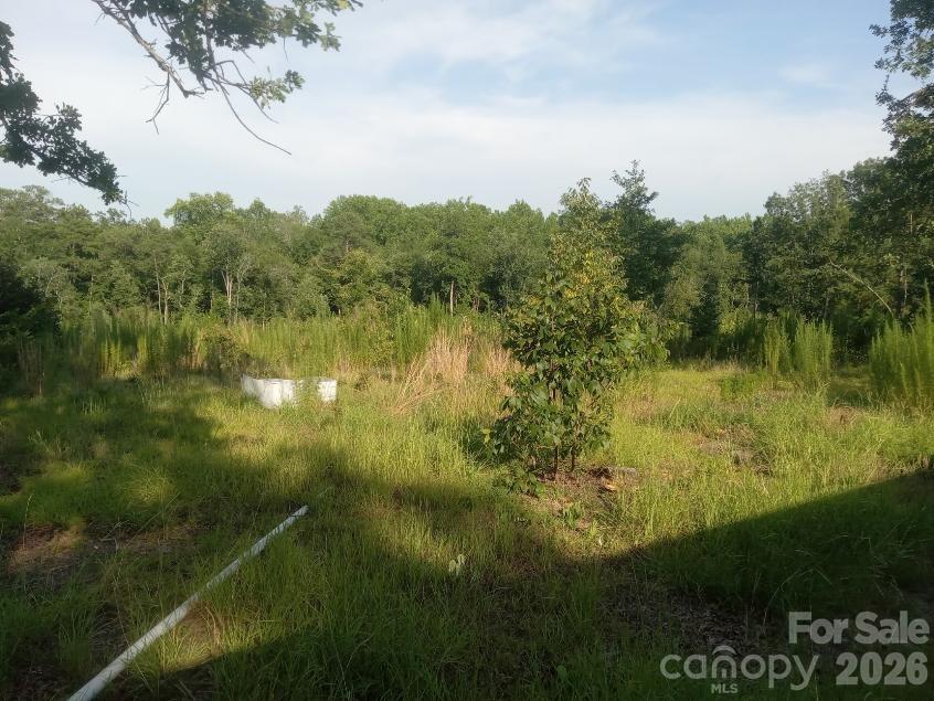3328 Love Road — Kershaw