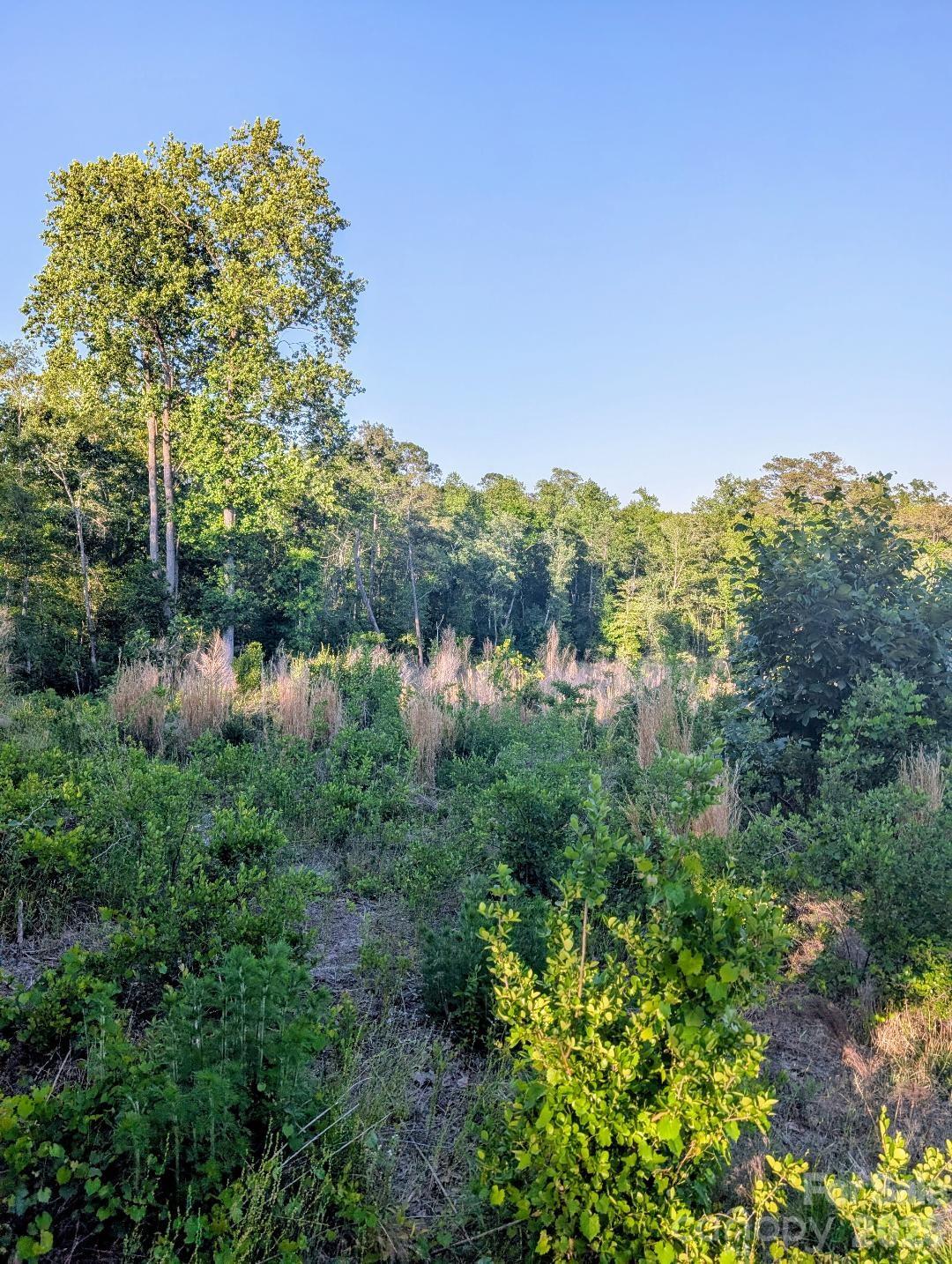 3328 Love Road — Kershaw