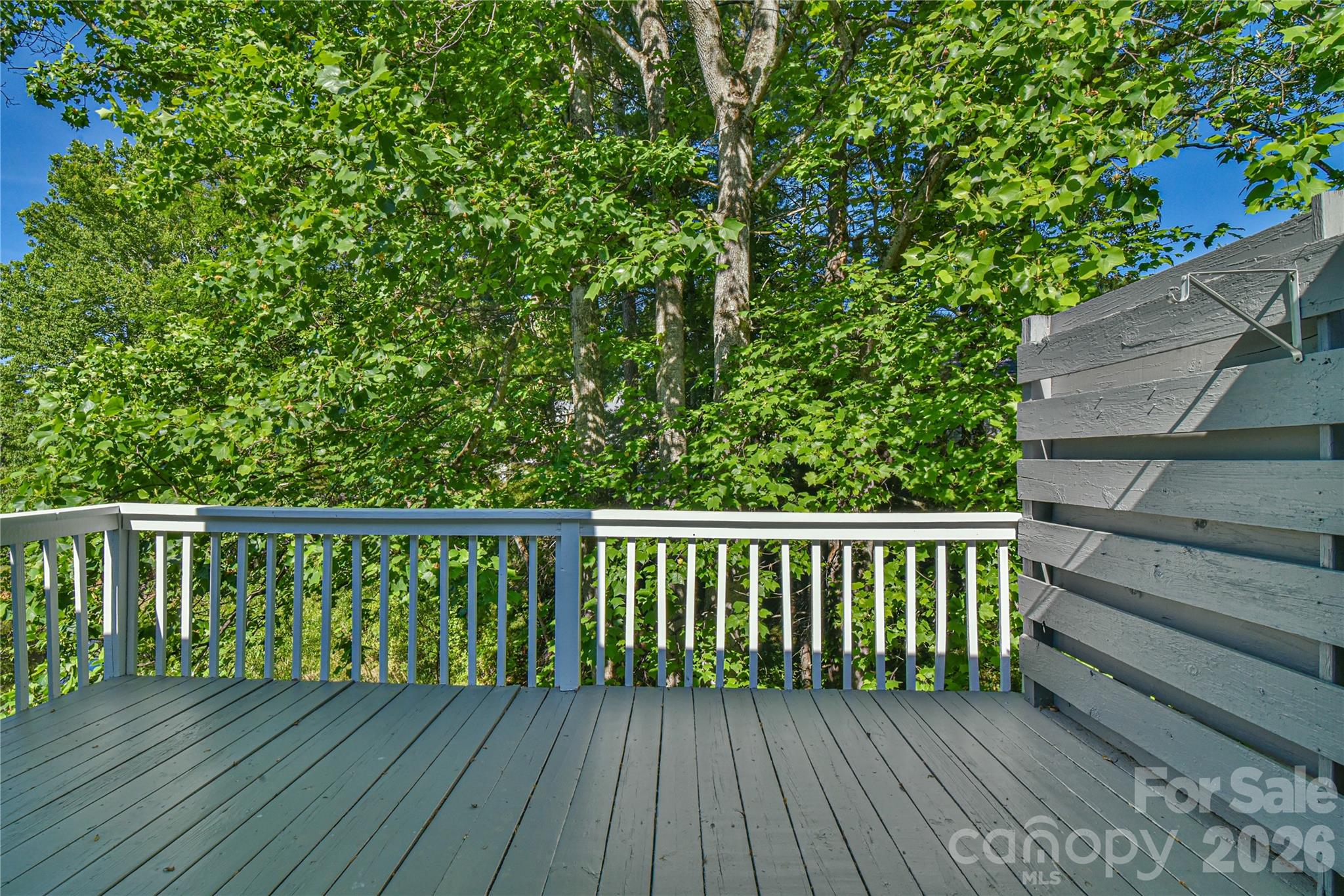 63 Hollybrook Drive — Asheville
