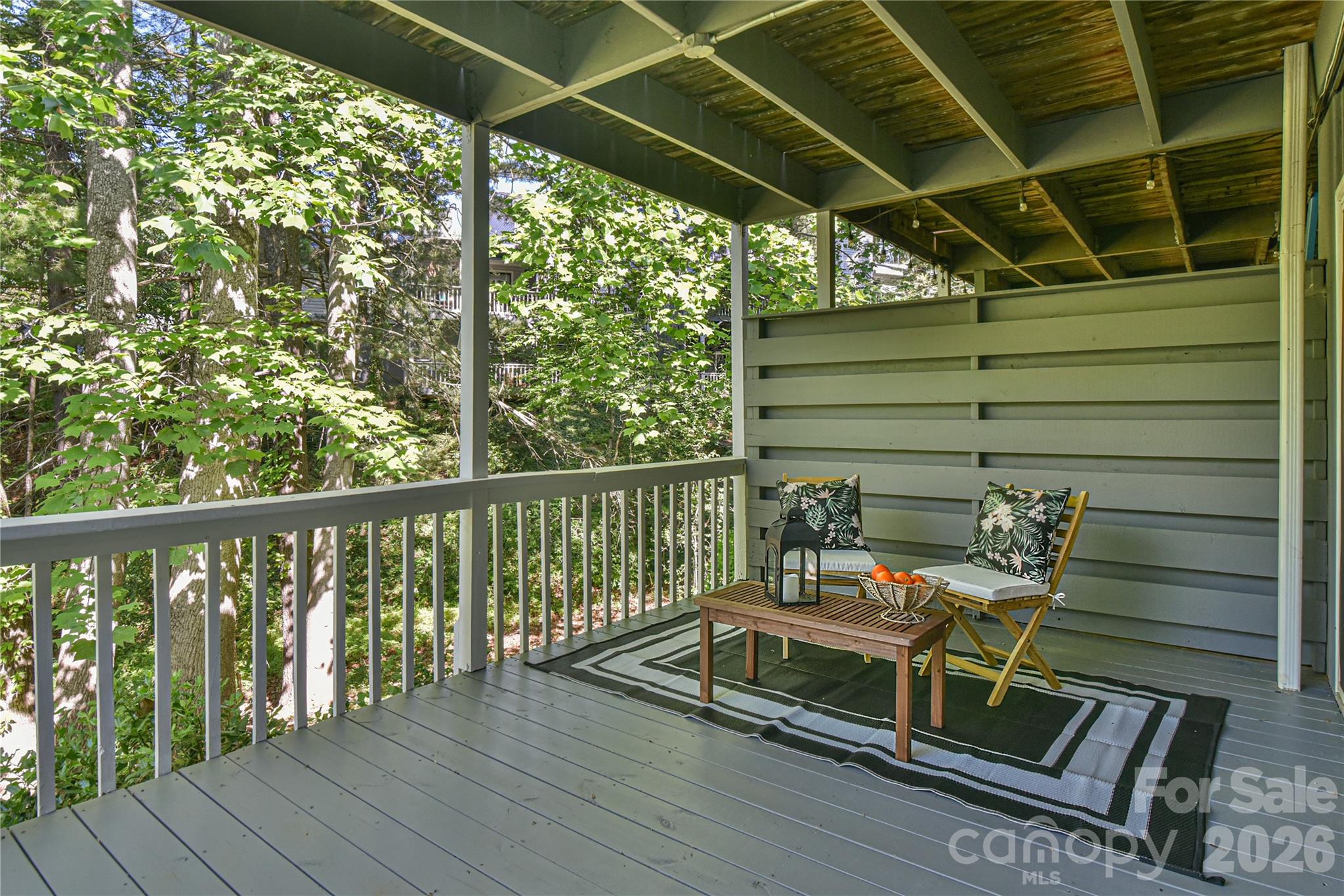 63 Hollybrook Drive — Asheville