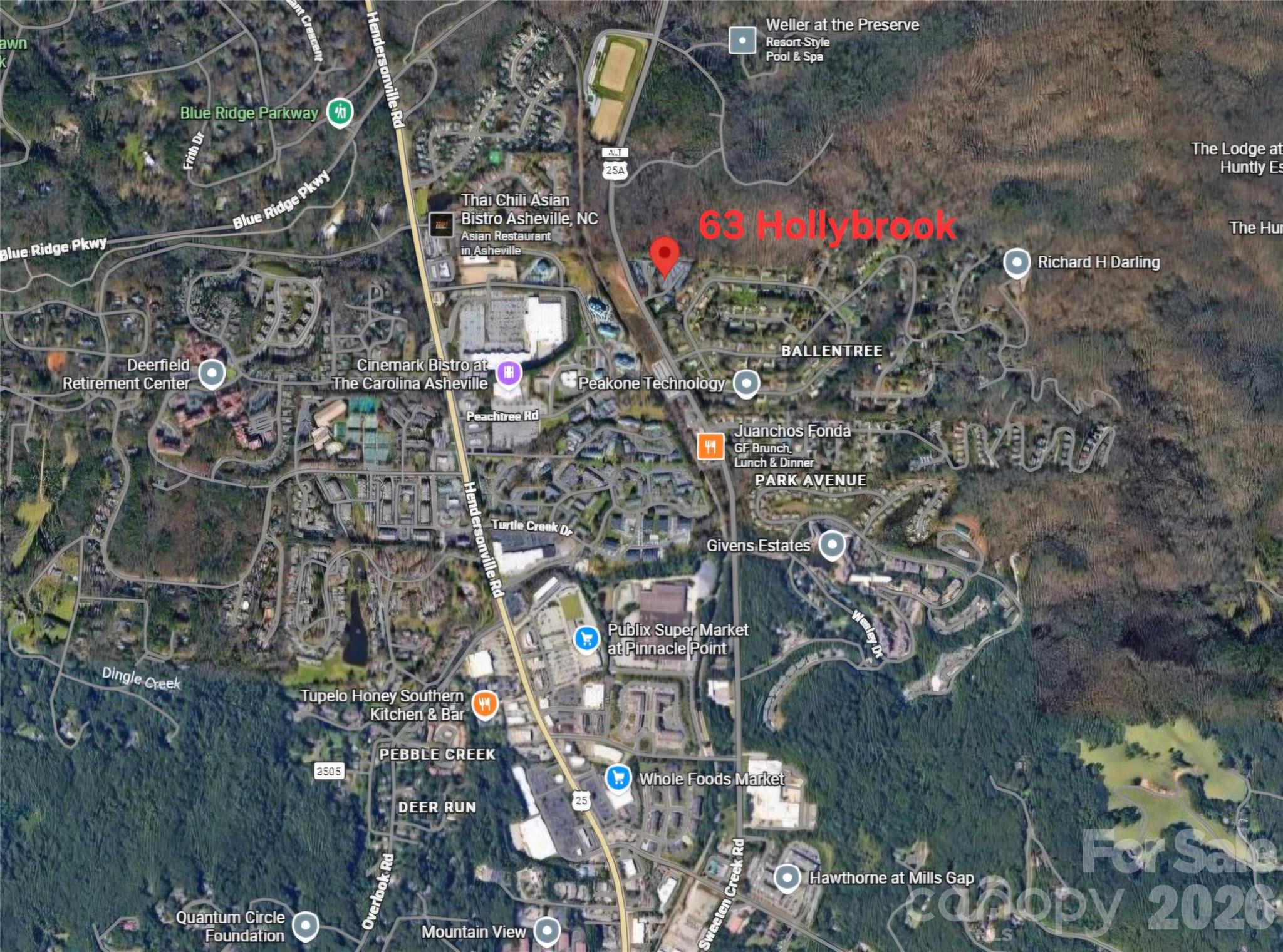 63 Hollybrook Drive — Asheville