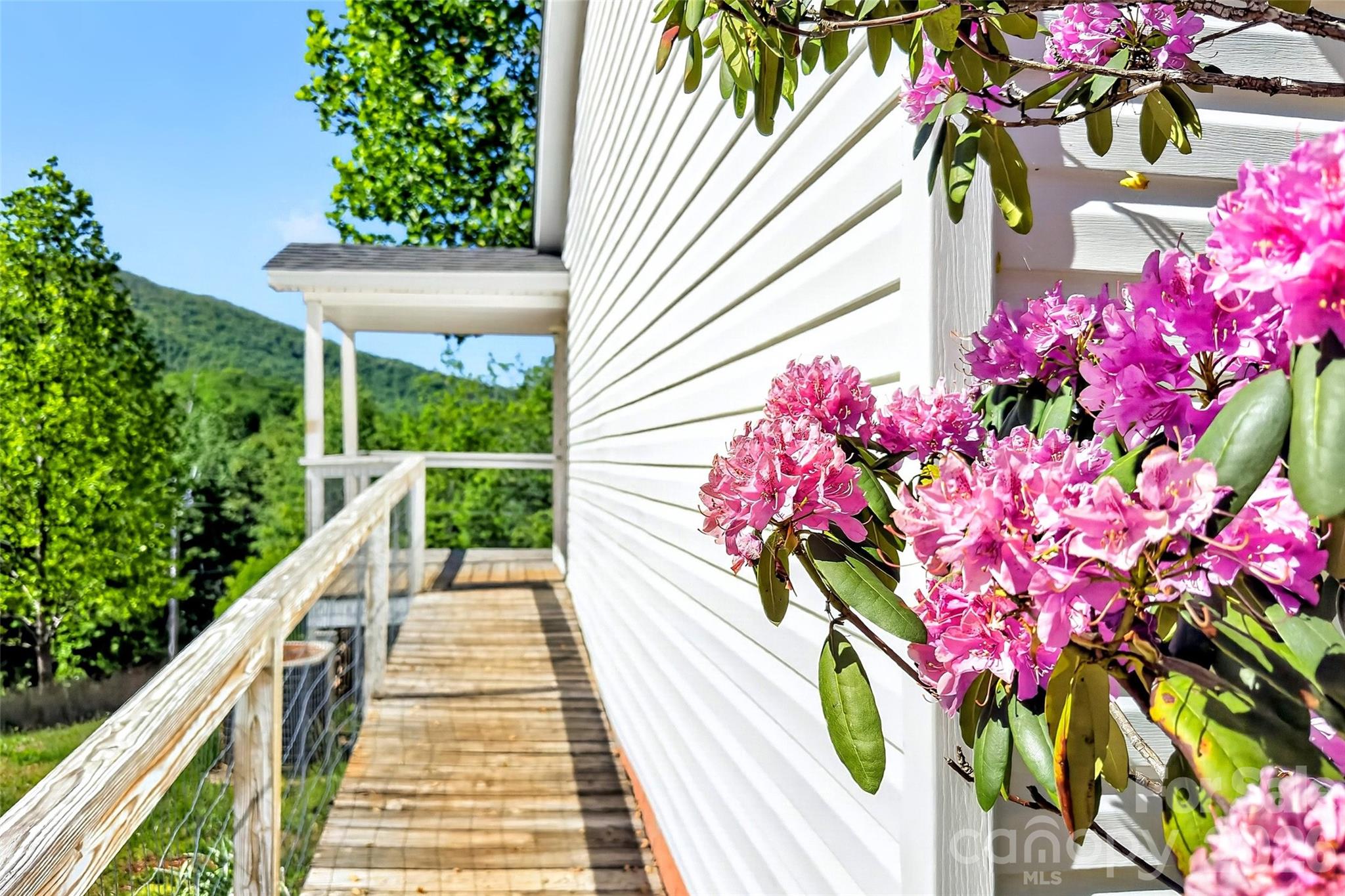 298 Wolf Crossing — Bakersville