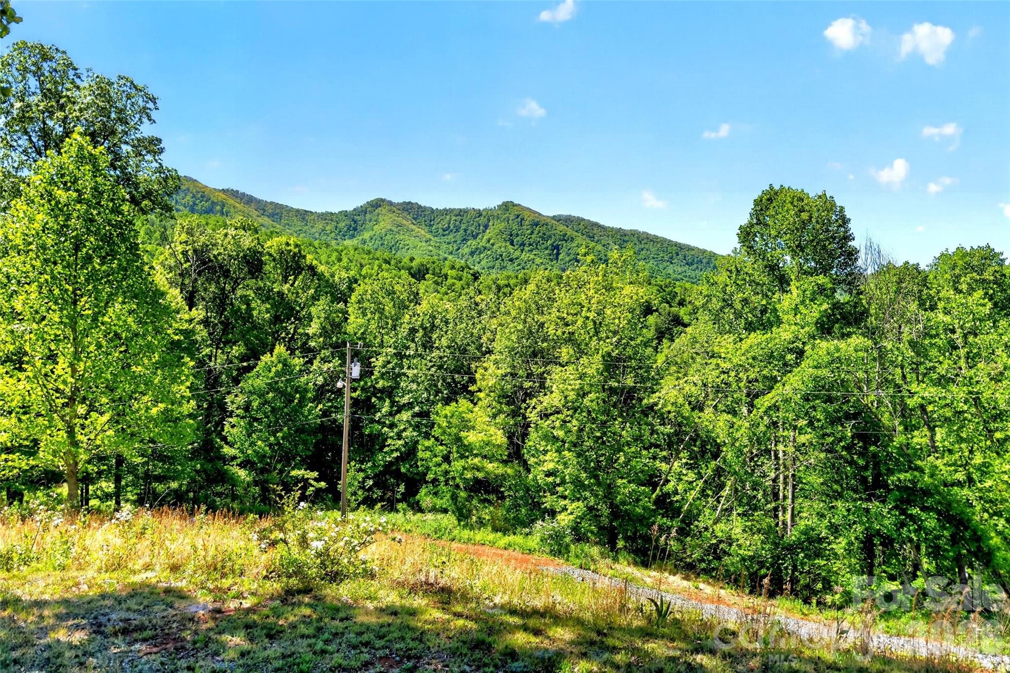 298 Wolf Crossing — Bakersville