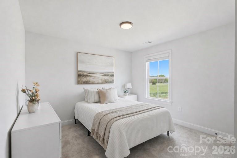 1005 Piper Meadows Drive — Waxhaw