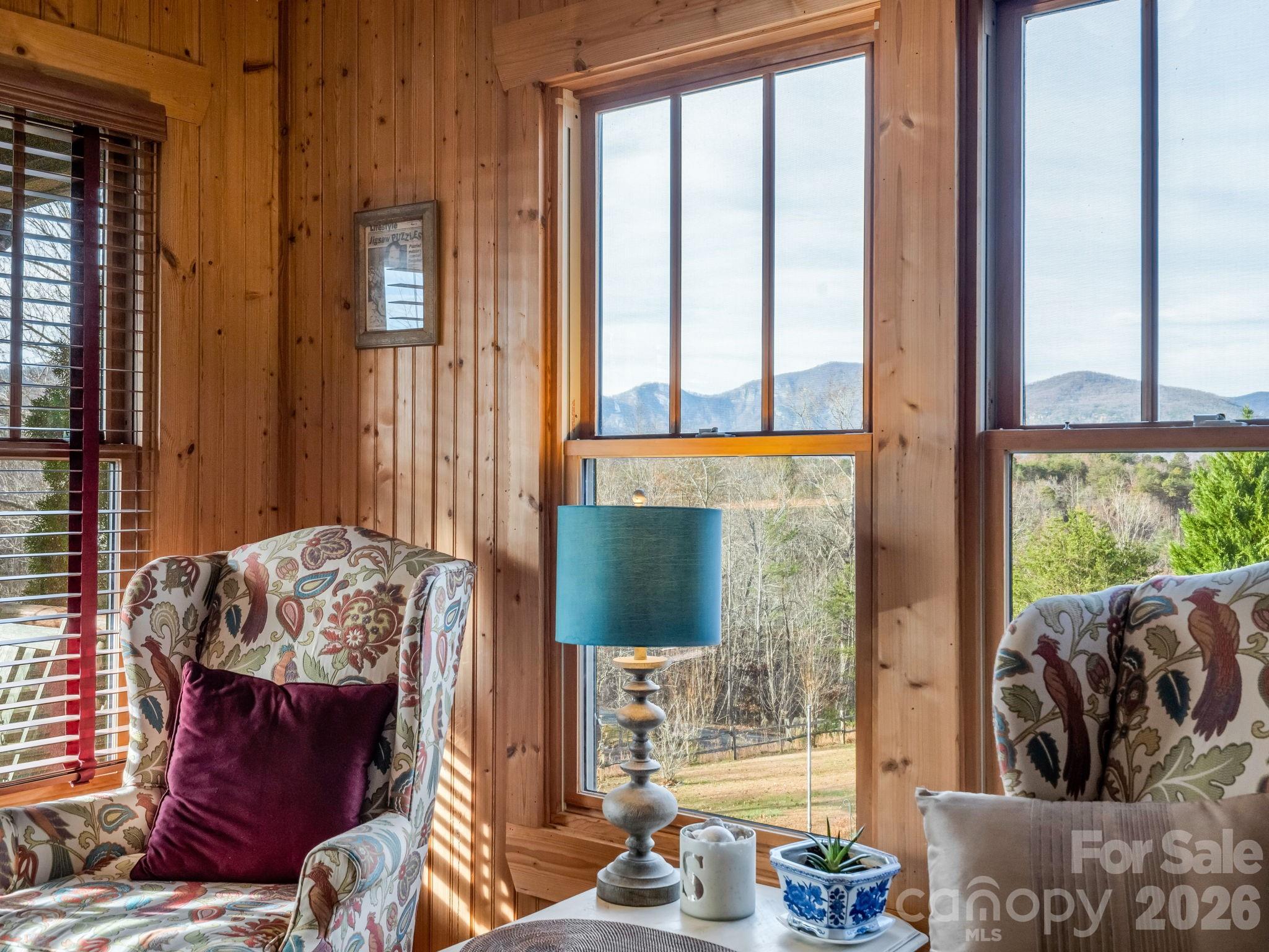 301 Peaks Drive — Lake Lure