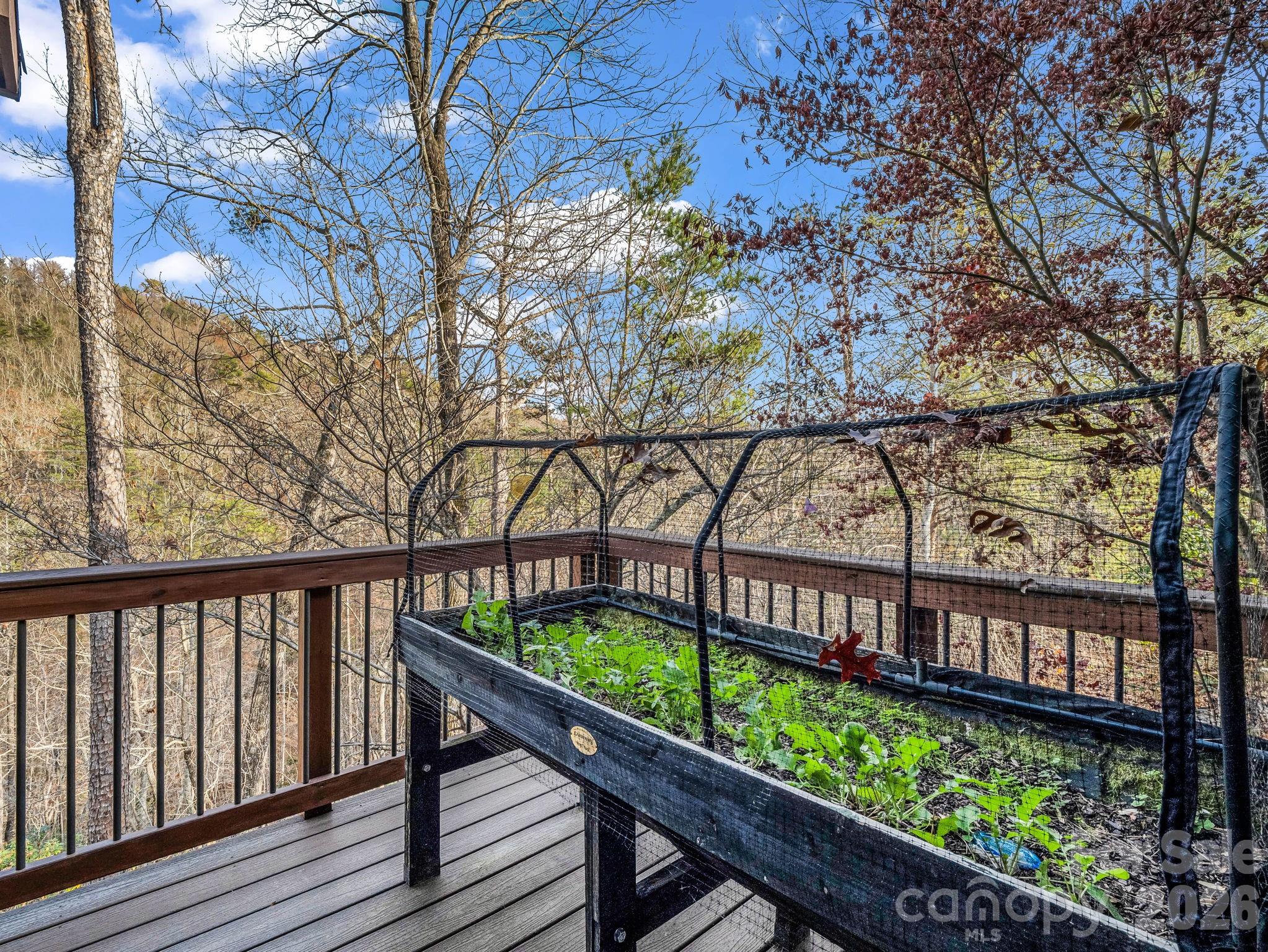 301 Peaks Drive — Lake Lure