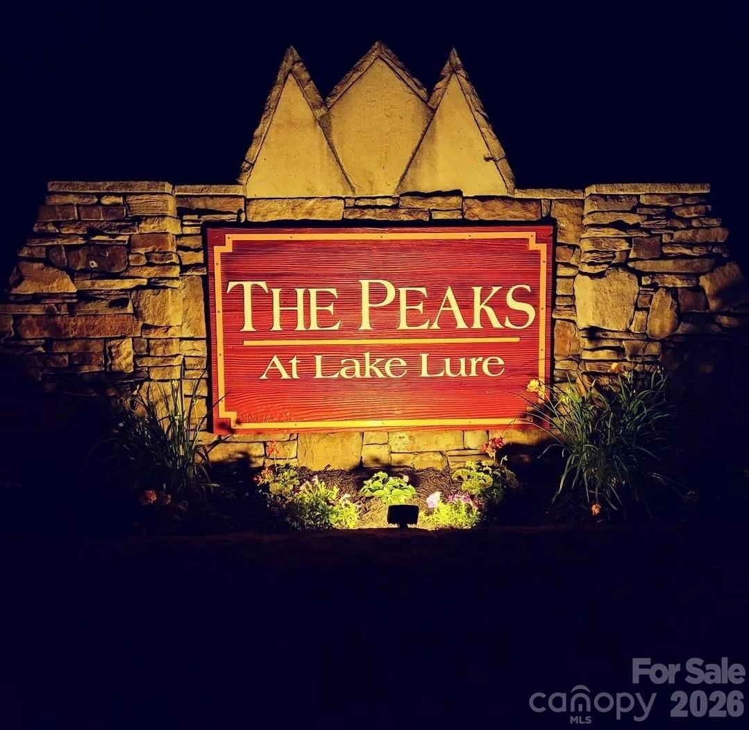 301 Peaks Drive — Lake Lure