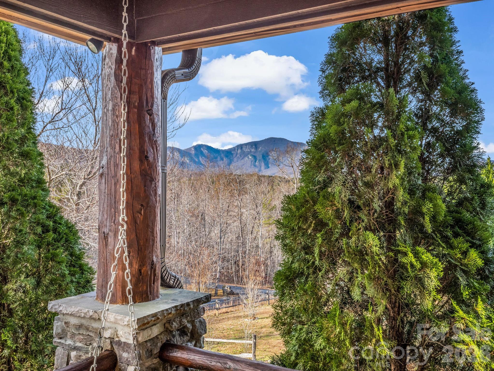 301 Peaks Drive — Lake Lure