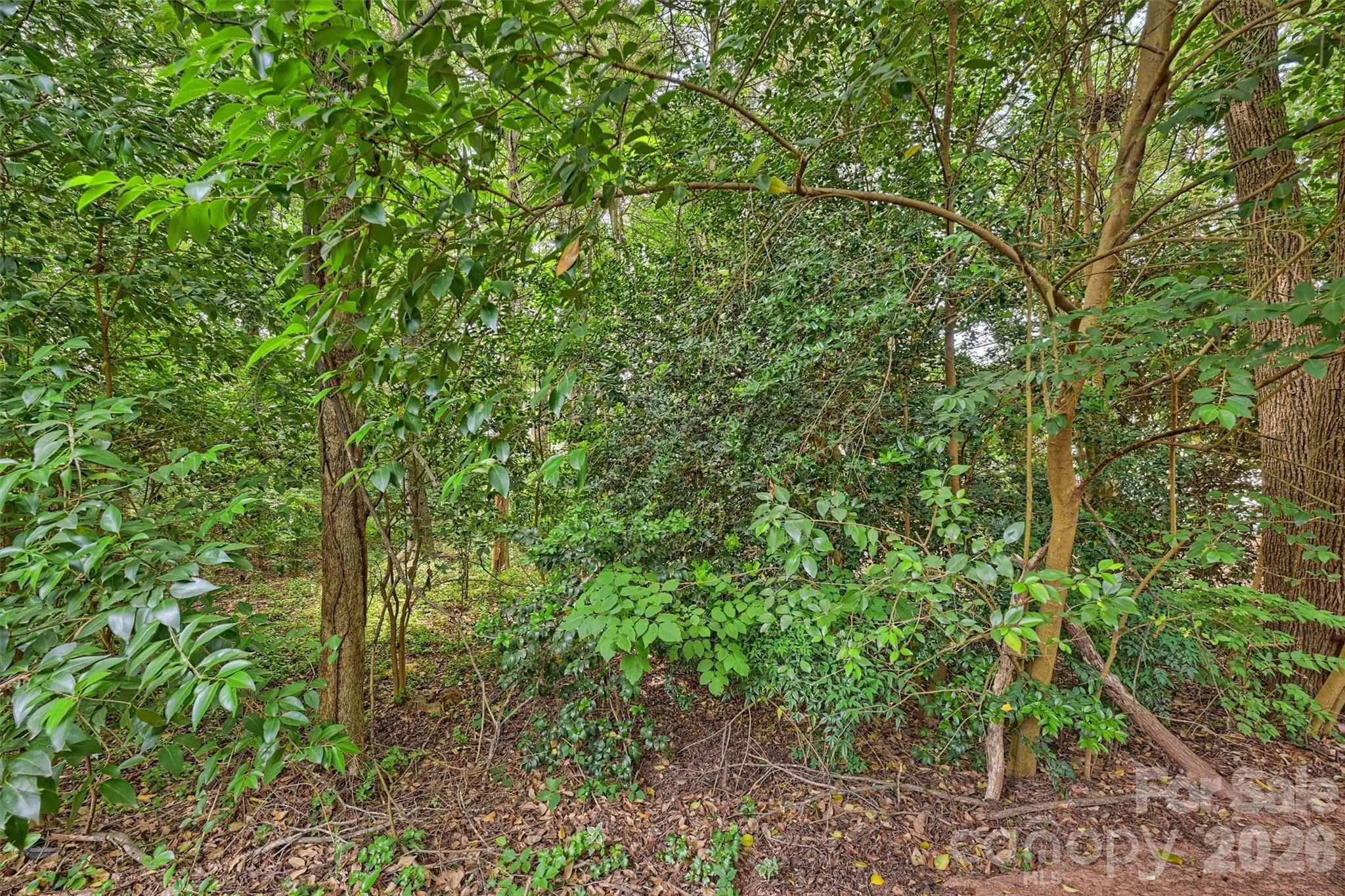 3131 Heathstead Place — Charlotte