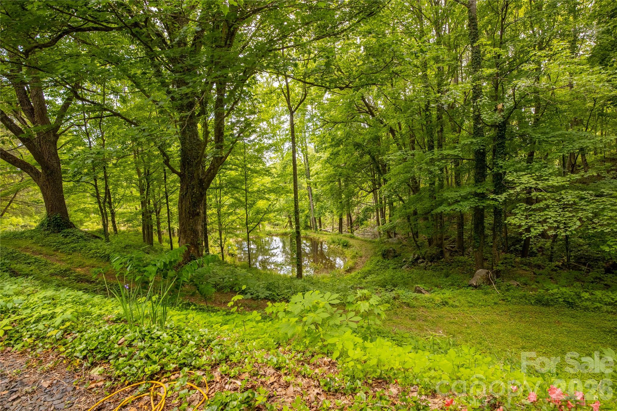 8 Westward Way — Bakersville