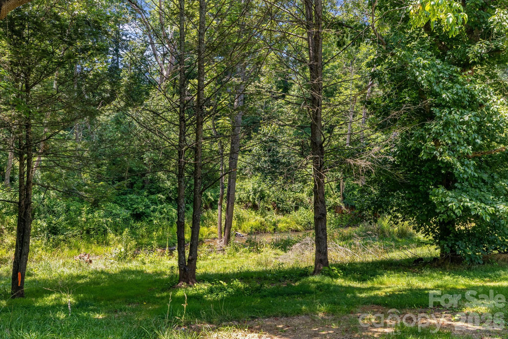 67 Banks Town Road — Weaverville