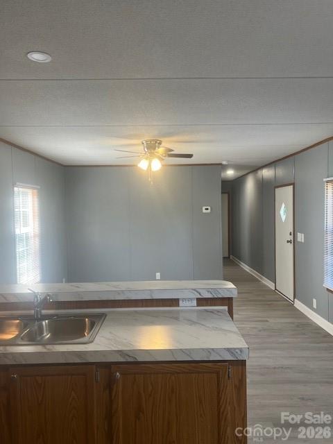 547 Indian Hill Road — Olin