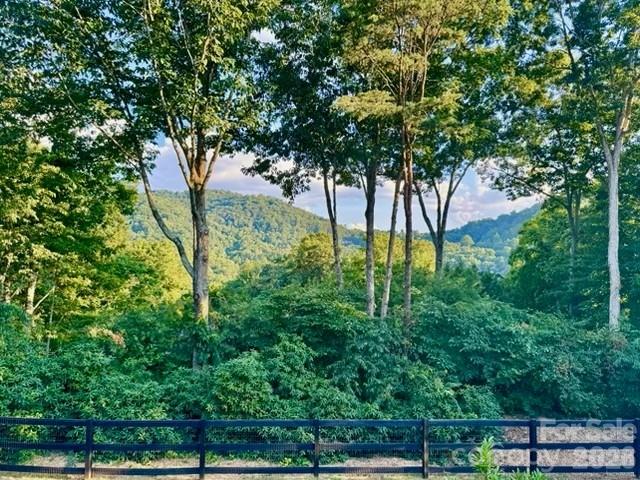 152 Skyview Circle — Asheville