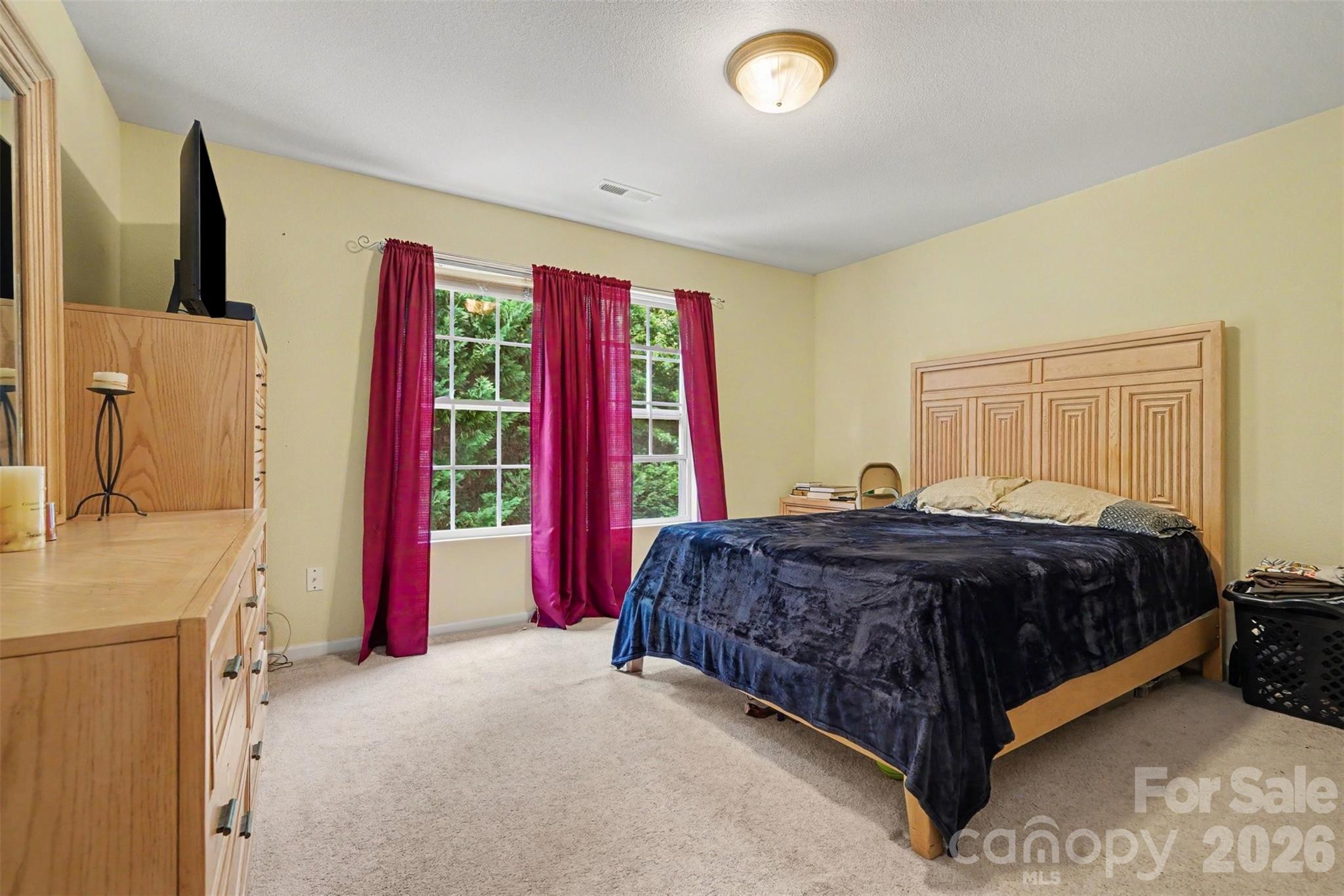 13933 Pinyon Pine Lane — Charlotte
