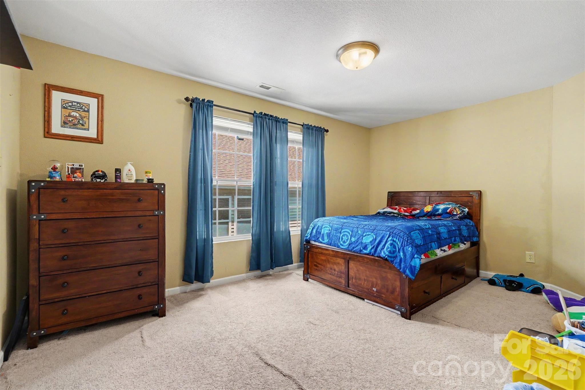 13933 Pinyon Pine Lane — Charlotte