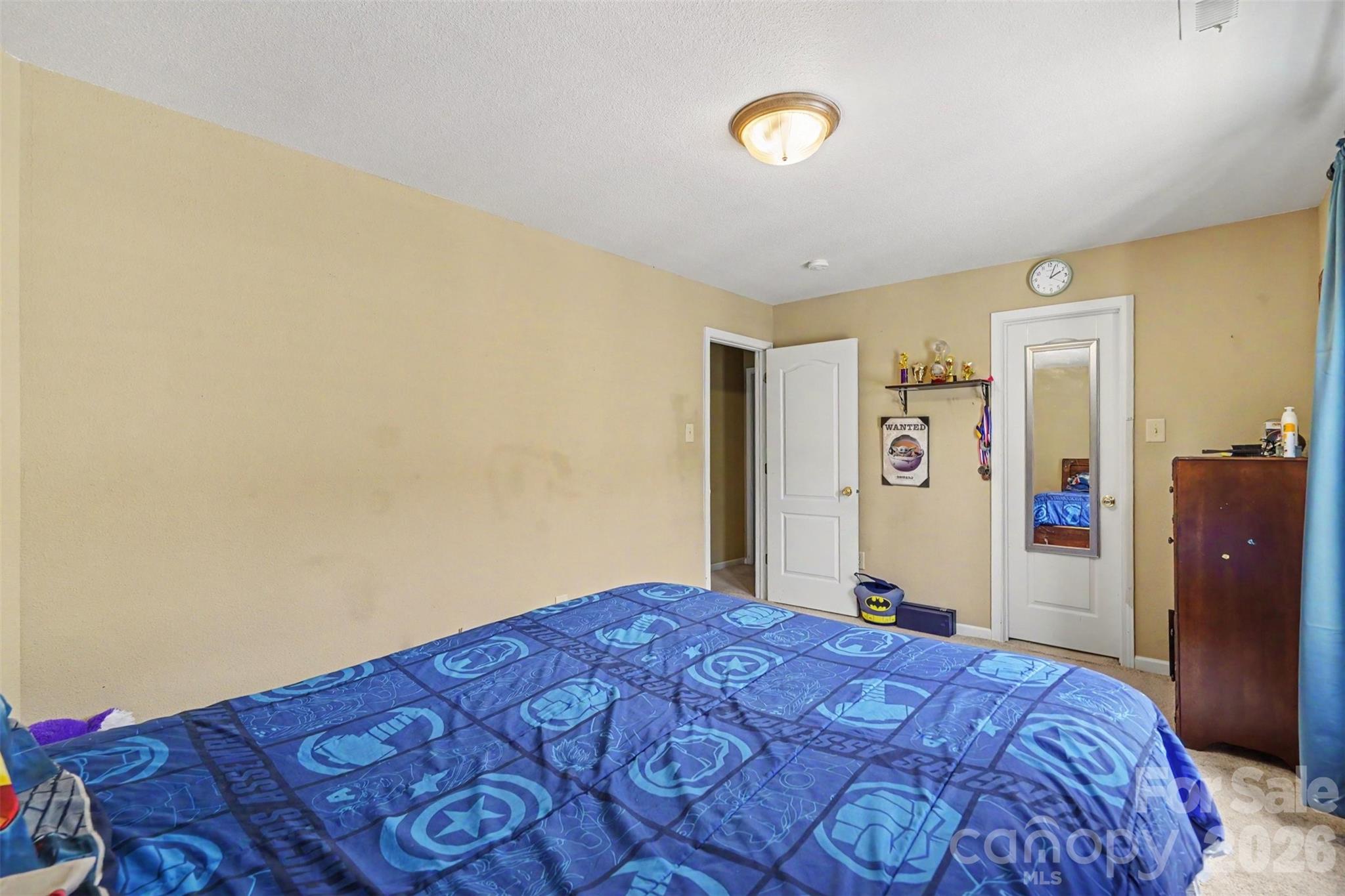 13933 Pinyon Pine Lane — Charlotte