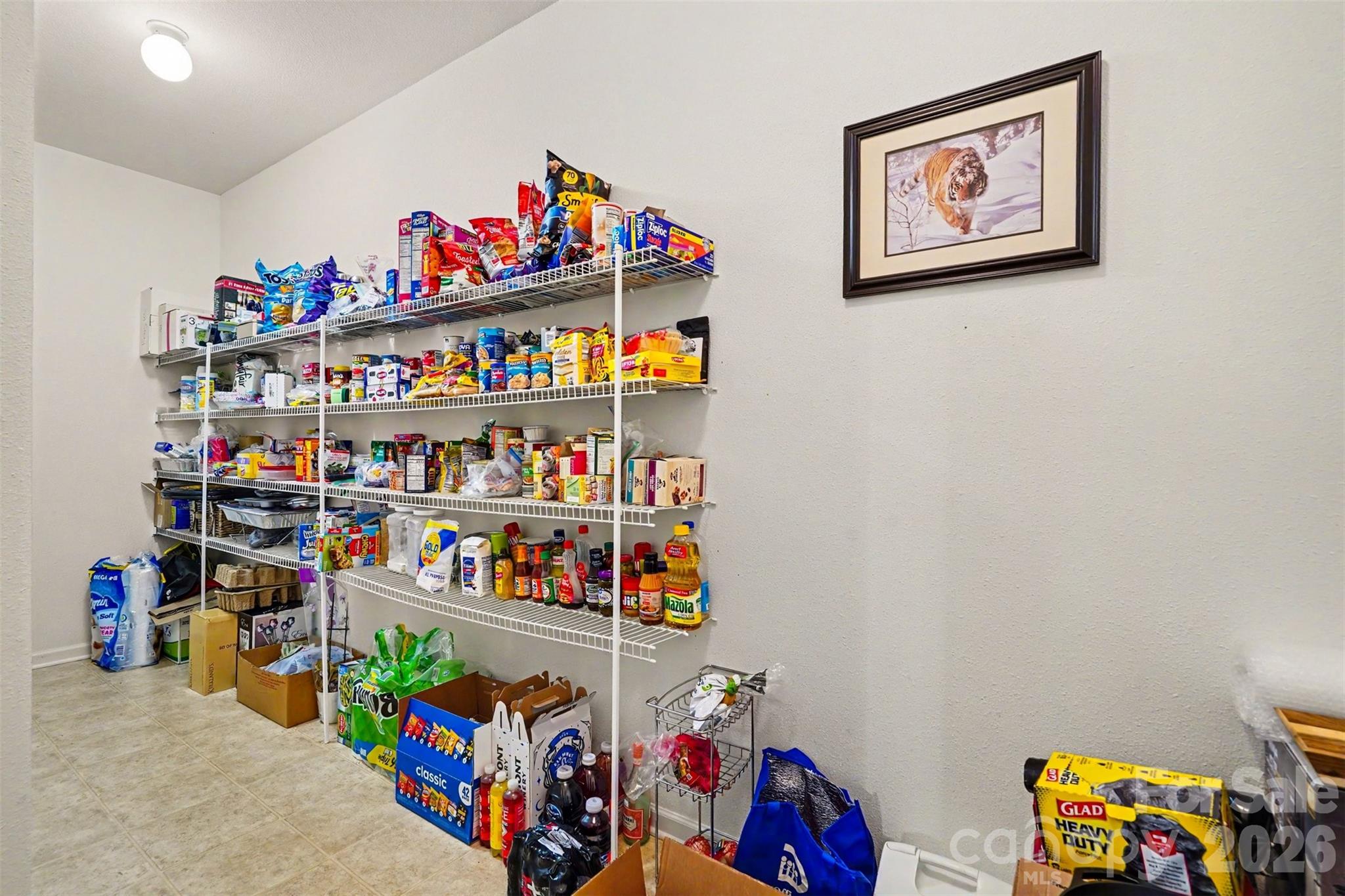 13933 Pinyon Pine Lane — Charlotte