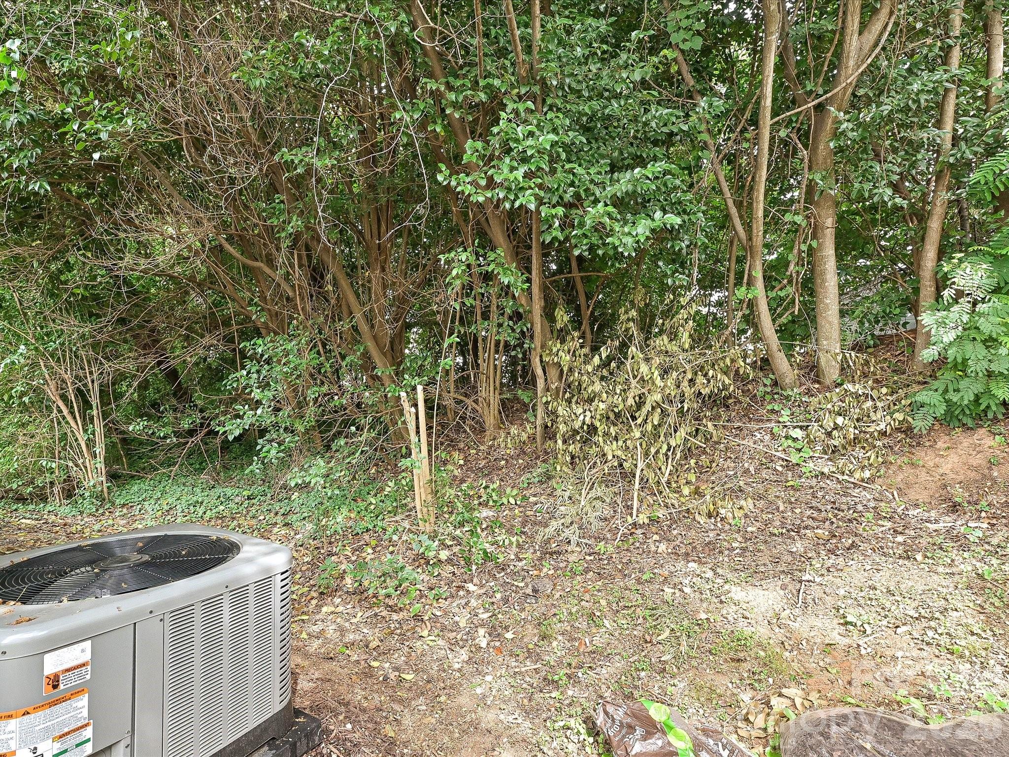3629 Silver Ore Lane — Charlotte