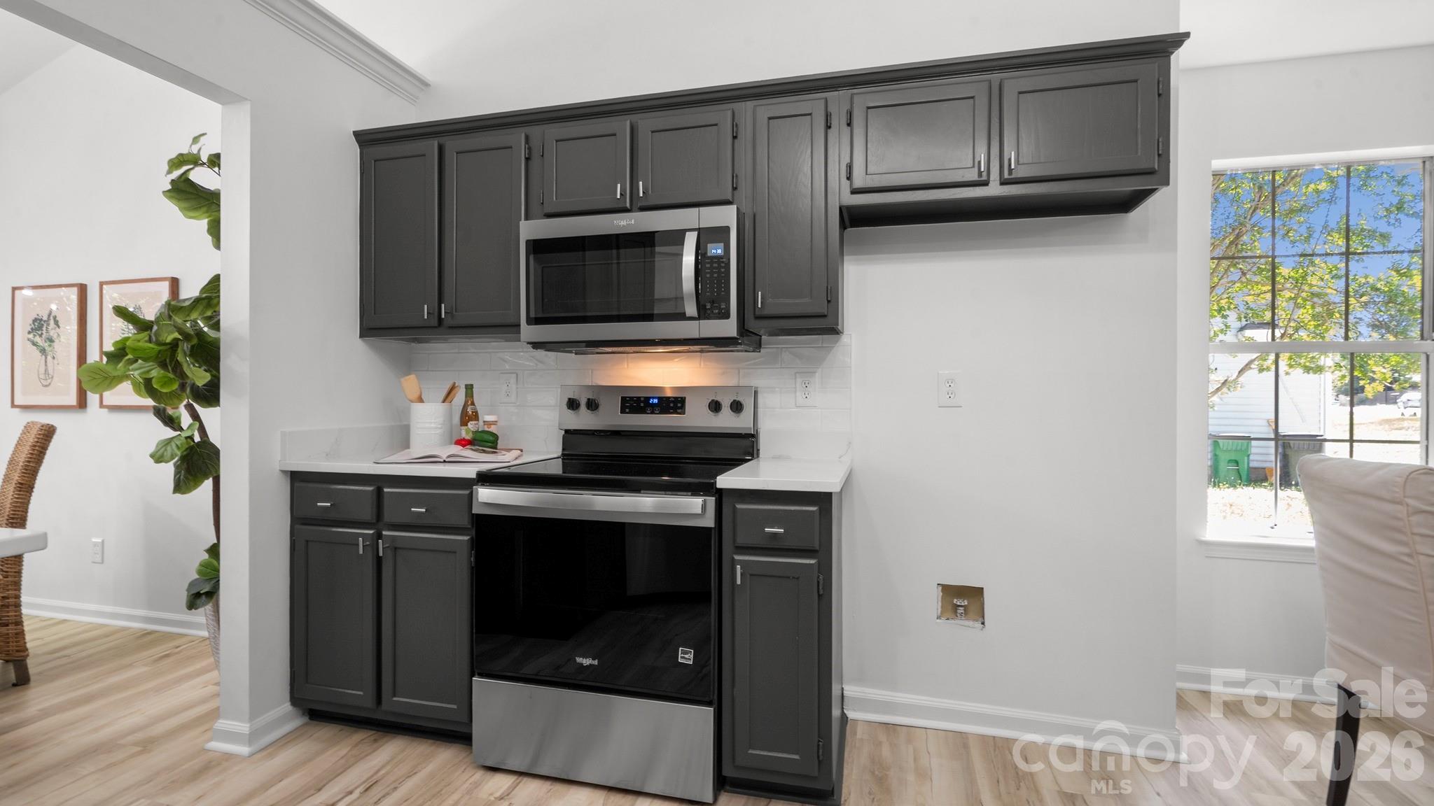 8815 Burnt Umber Drive — Charlotte