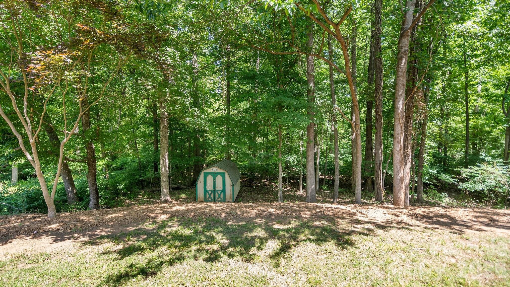 8815 Burnt Umber Drive — Charlotte