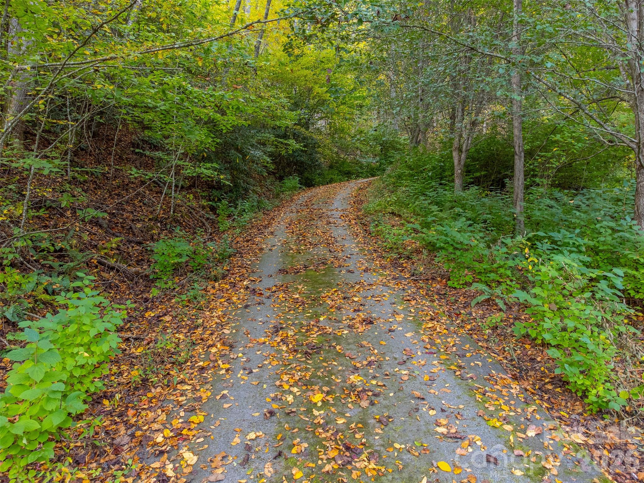 197 Savannah Meadows Trail — Sylva