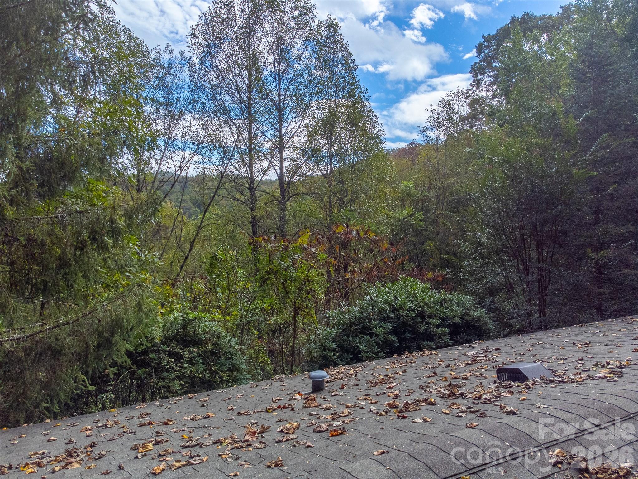 197 Savannah Meadows Trail — Sylva