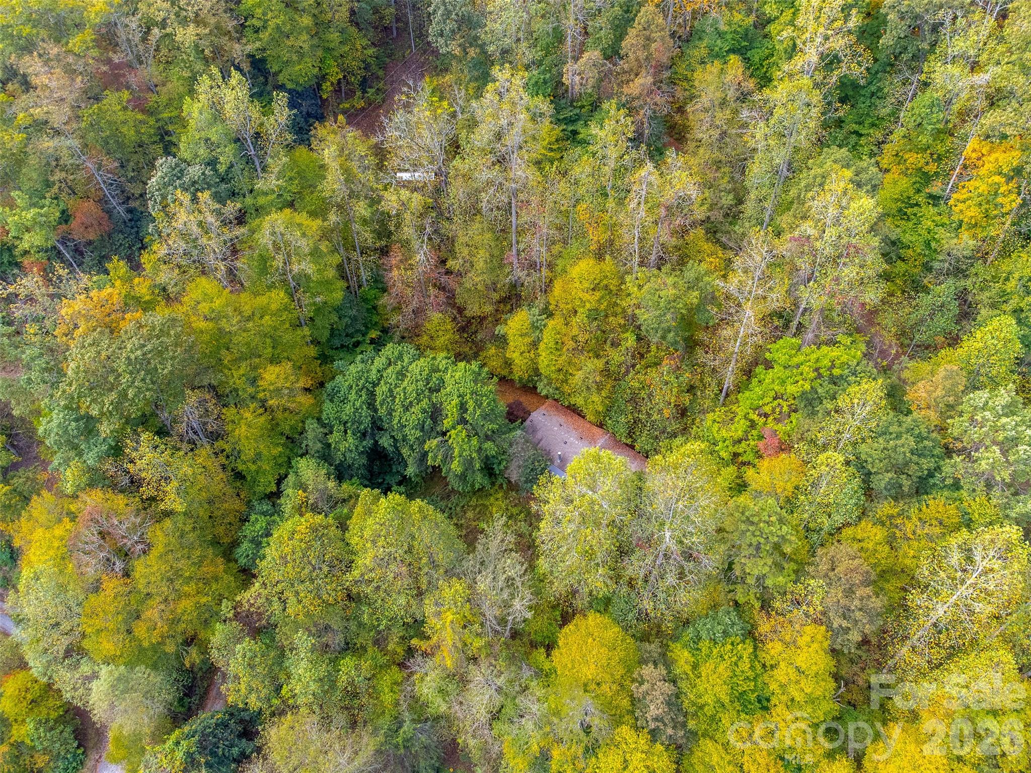 197 Savannah Meadows Trail — Sylva