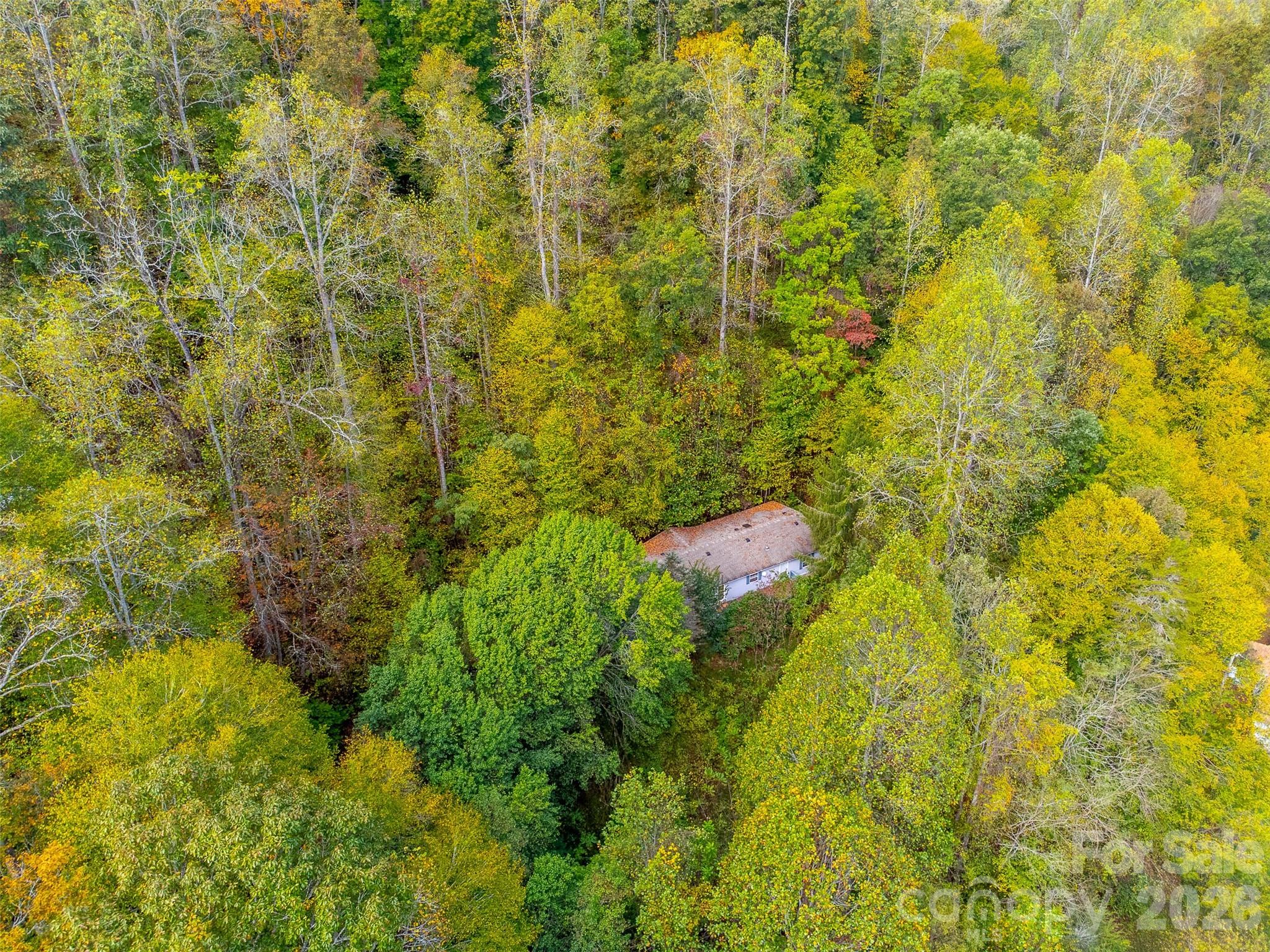 197 Savannah Meadows Trail — Sylva