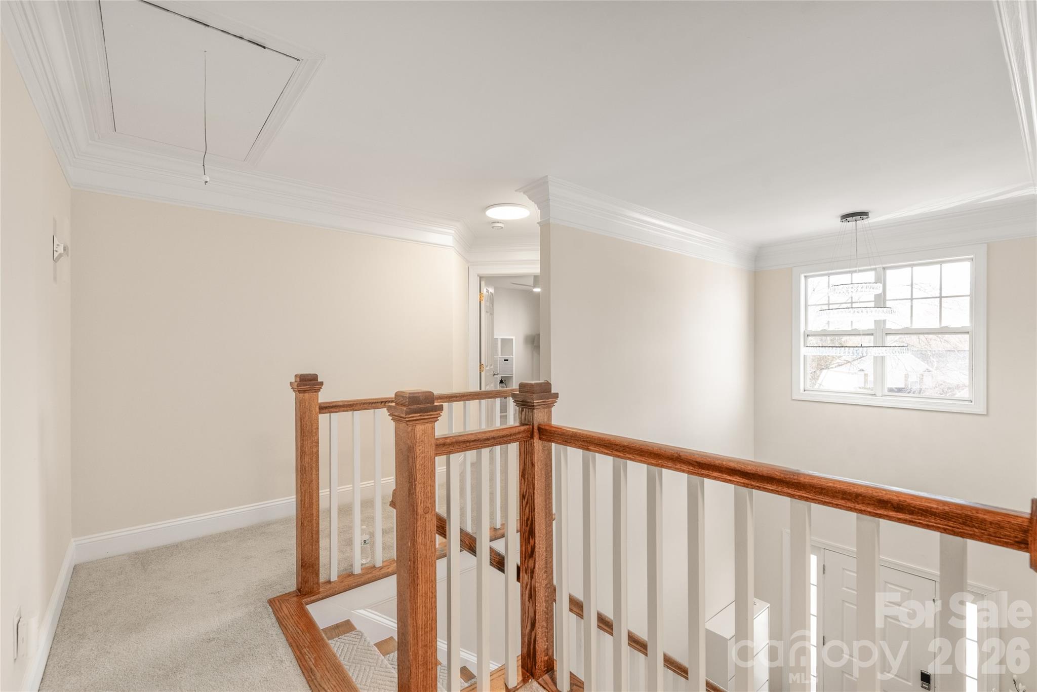 14137 Wild Elm Road — Charlotte