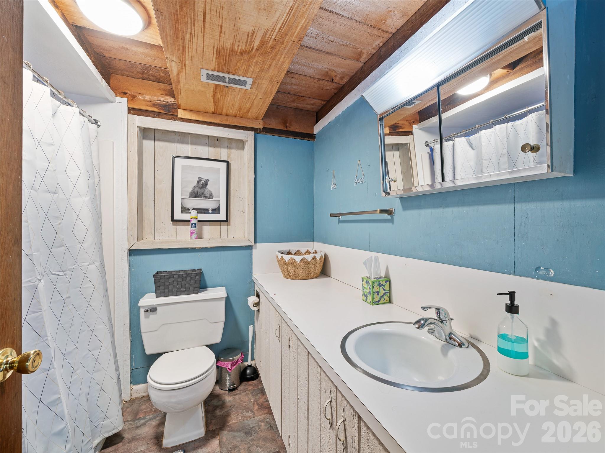 137 Mountain Farm Road — Burnsville