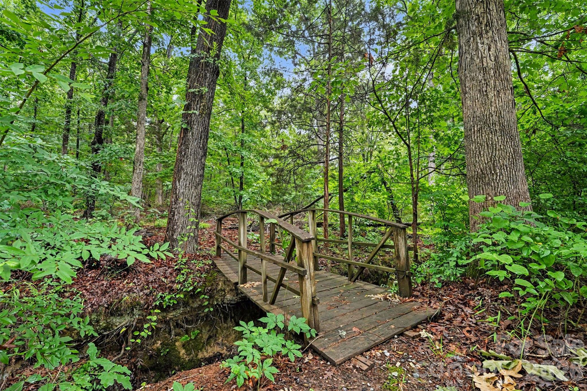 1320 Mill Race Lane — Matthews