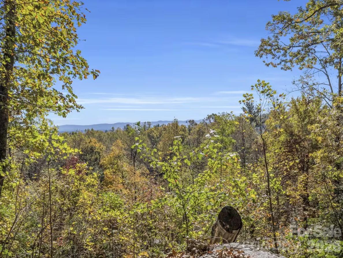 311 Charming Lane — Hendersonville