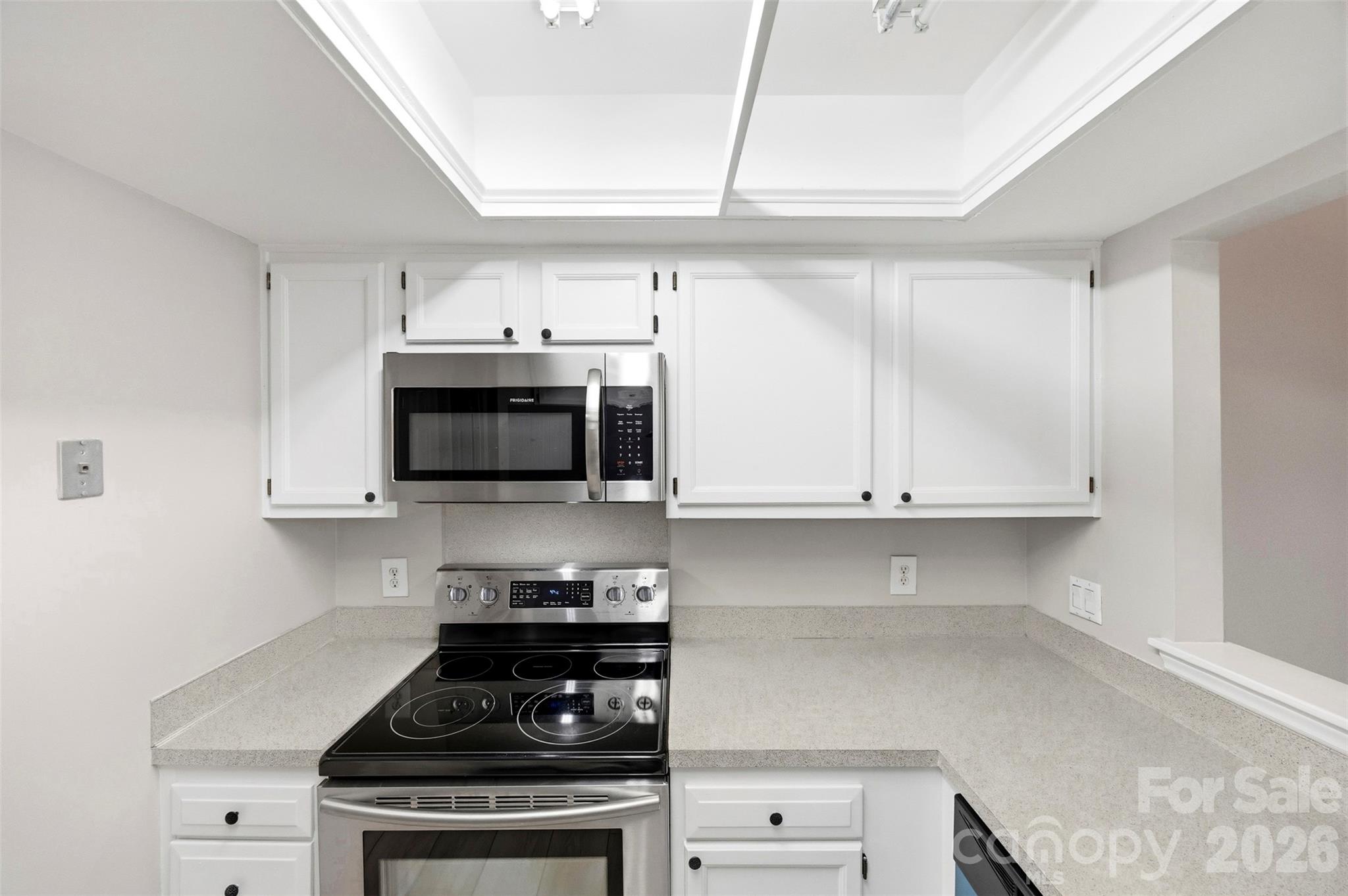 9320 South Vicksburg Park Court — Charlotte