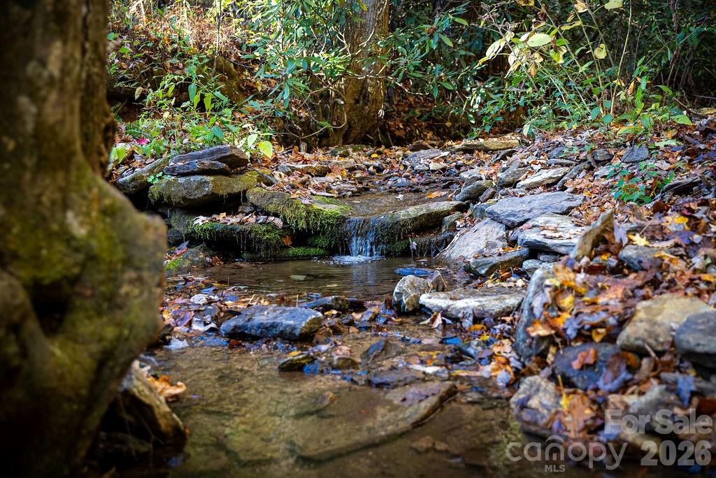 808 Mountain Cove Road — Hendersonville