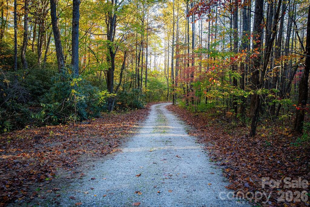 808 Mountain Cove Road — Hendersonville