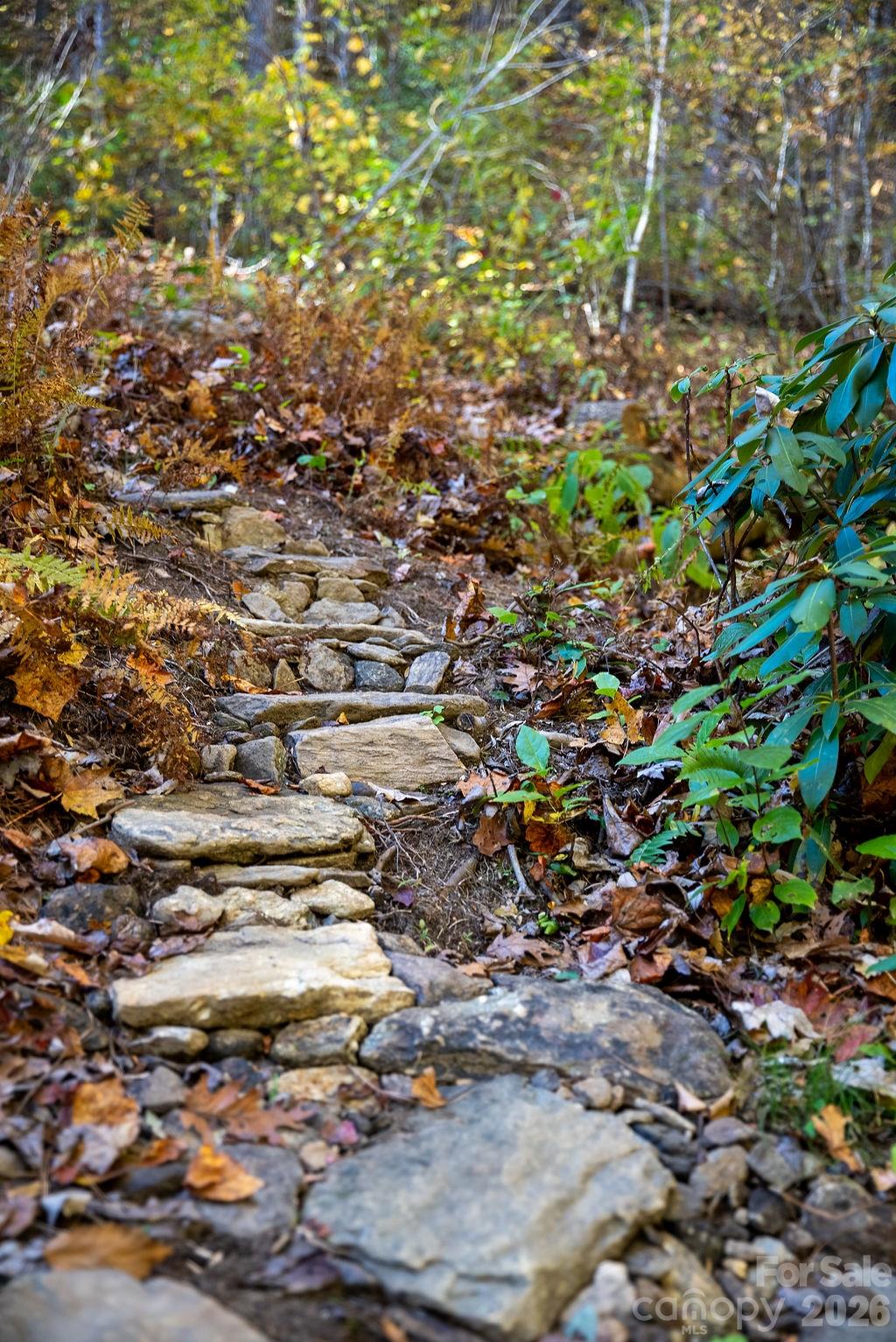 808 Mountain Cove Road — Hendersonville