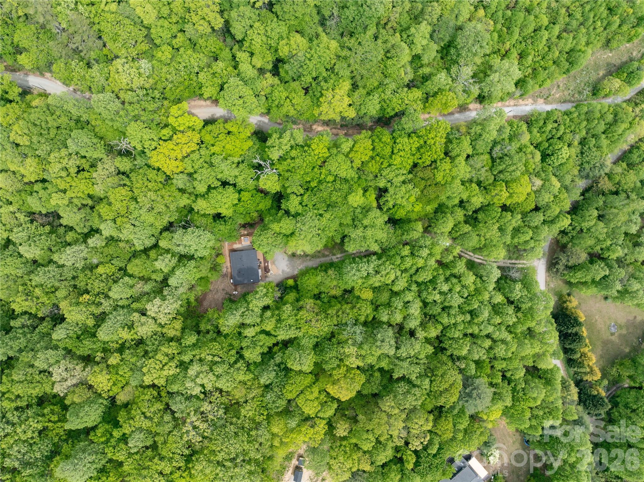 808 Mountain Cove Road — Hendersonville