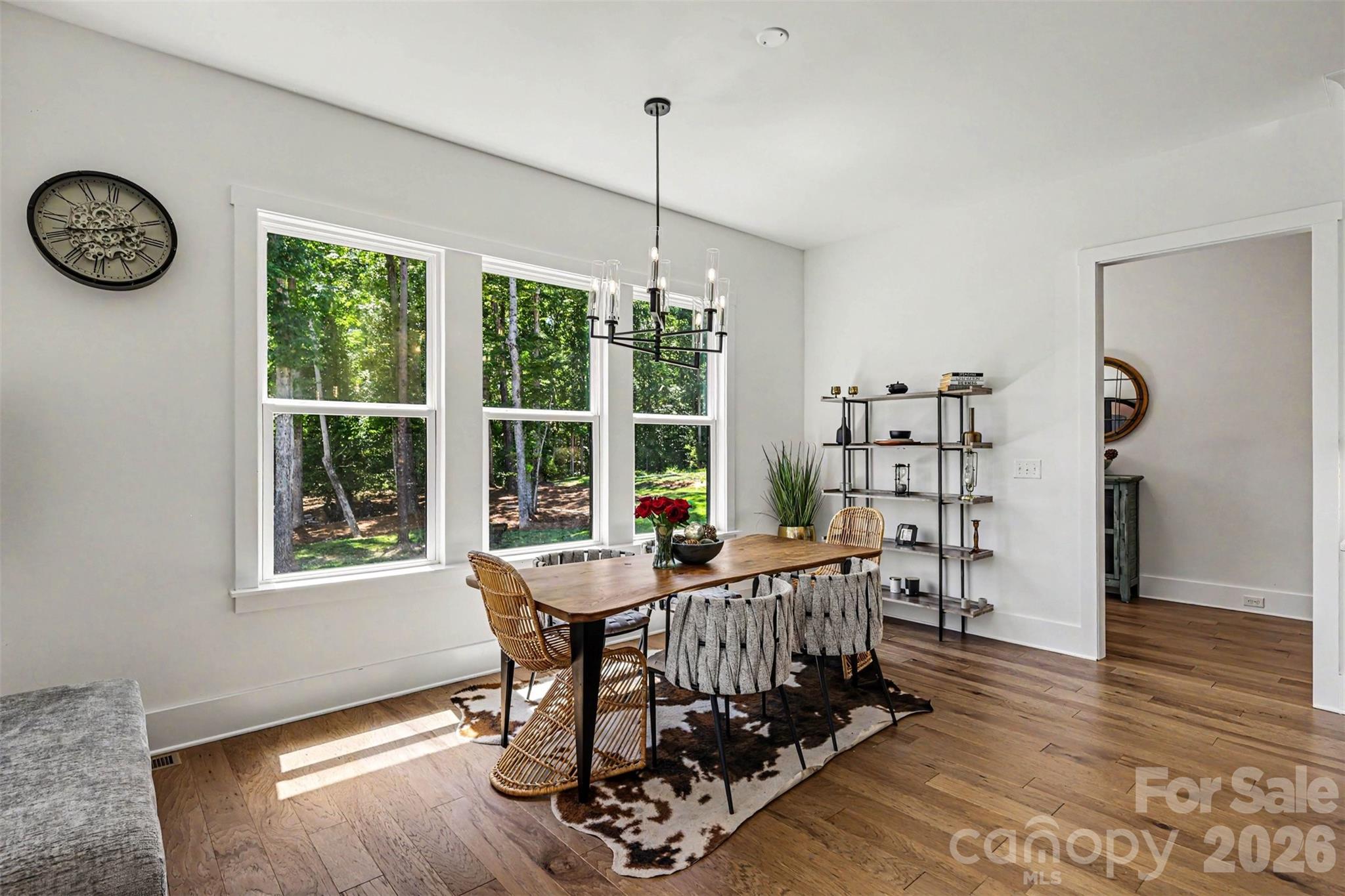 1171 Trinity Ridge Parkway — Fort Mill